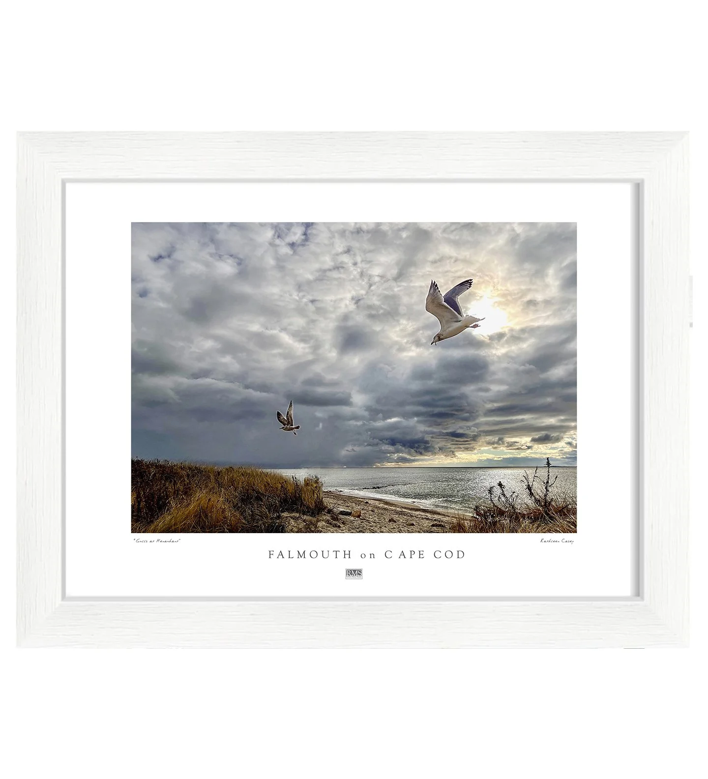 Framed Print - "Taking Terns": Photograph by Kathleen Casey
