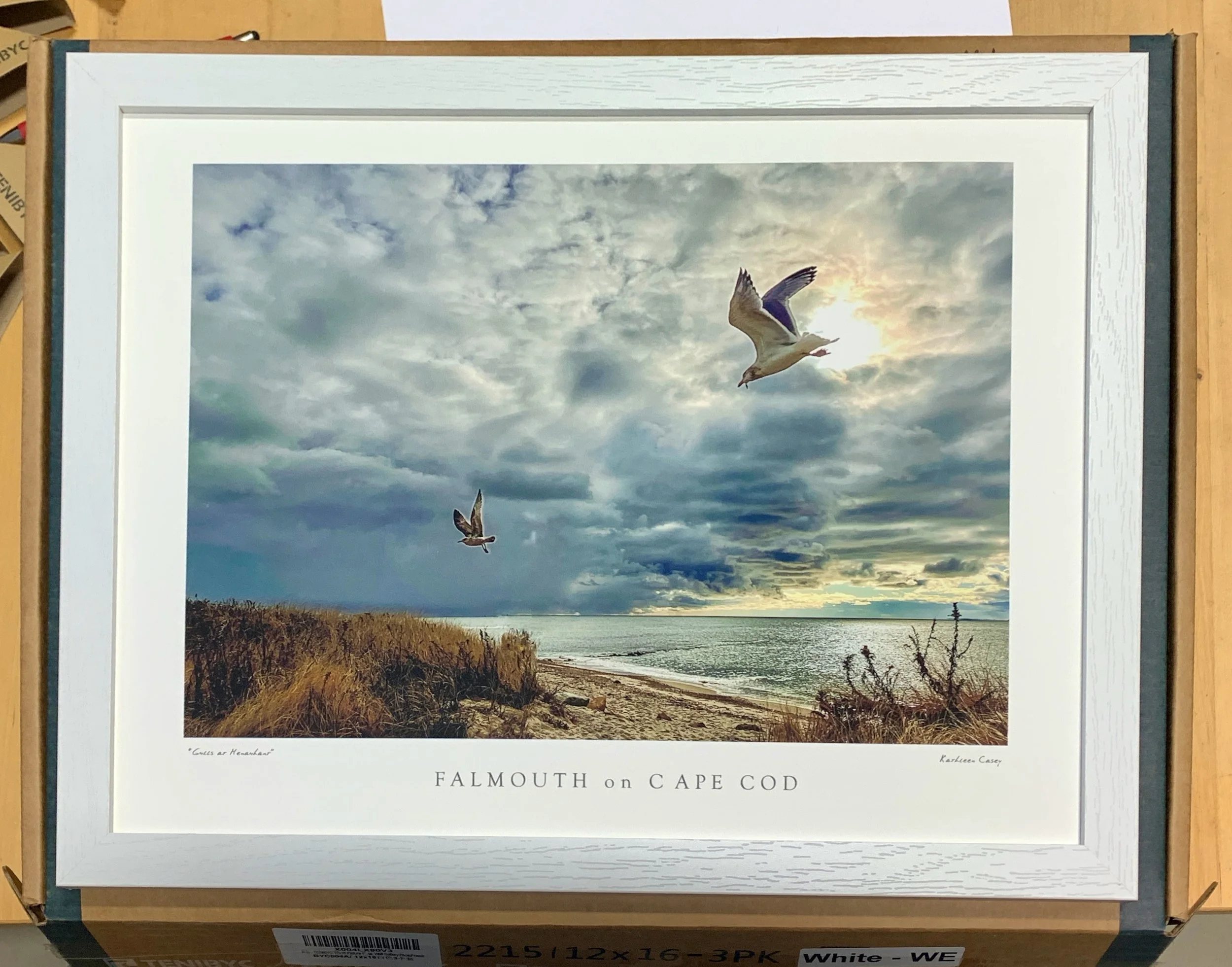 Framed Print - "Taking Terns": Photograph by Kathleen Casey