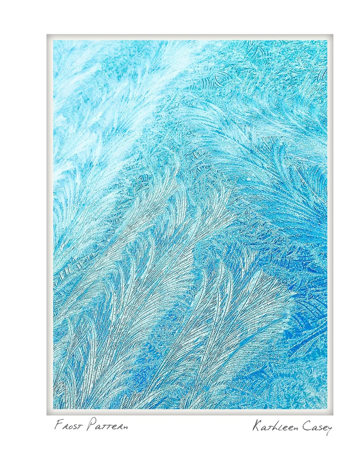 Frost Pattern - Kathleen Casey - Falmouth