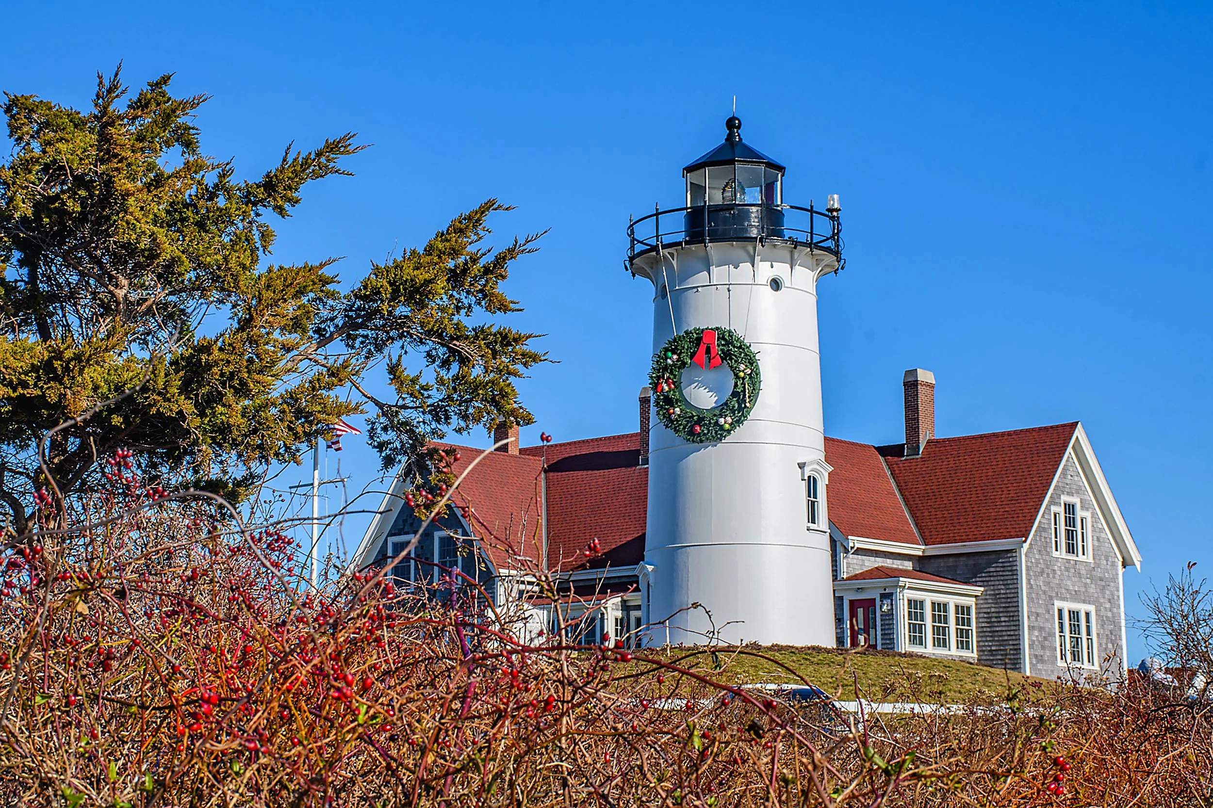 12 weeks 54215502620_cc5521e52c_o.jpg