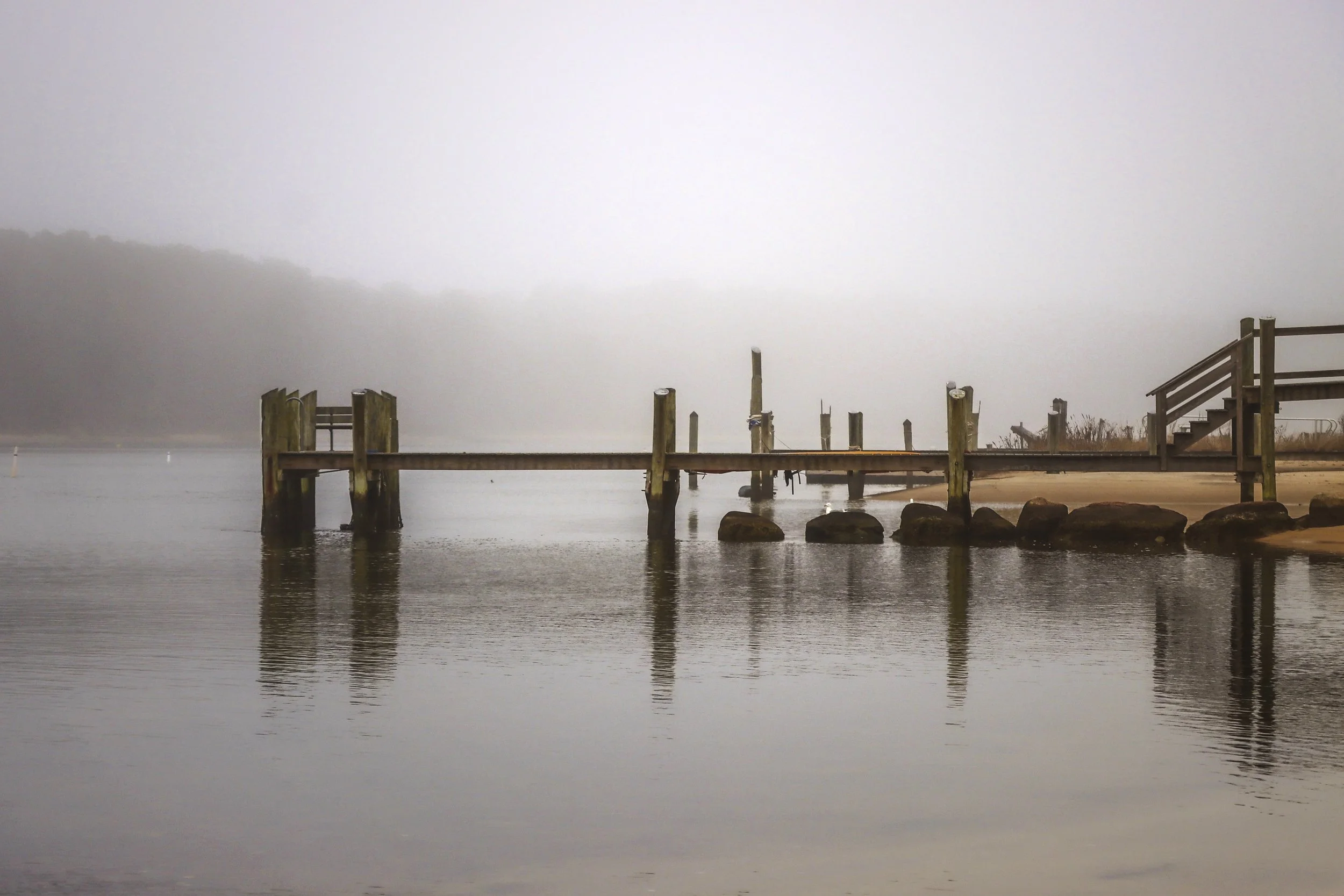 3 MARCH Early Spring Fog.JPG