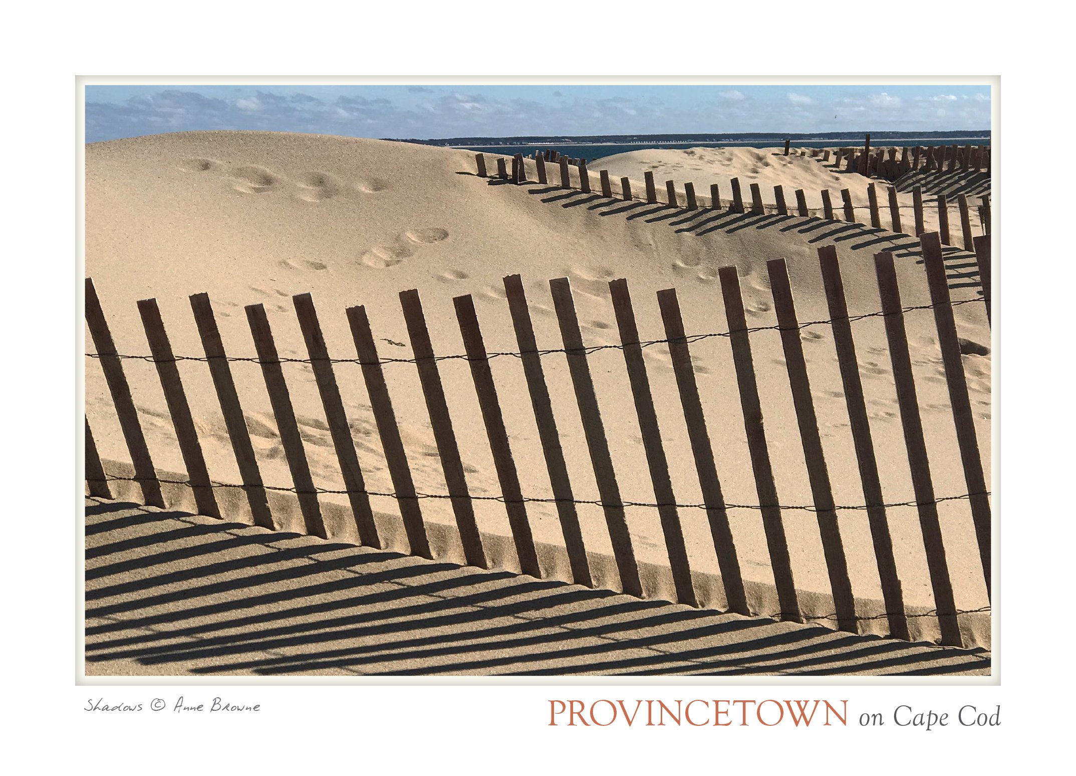 POSTCARD_5X7_12 copy.jpg