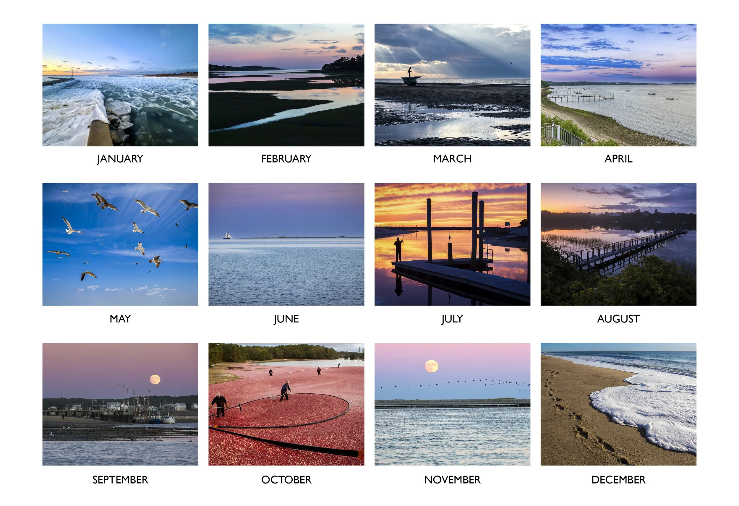 Note Card Set for 2027 On Cape Cod Calendar: Photographs by Julia Cumes