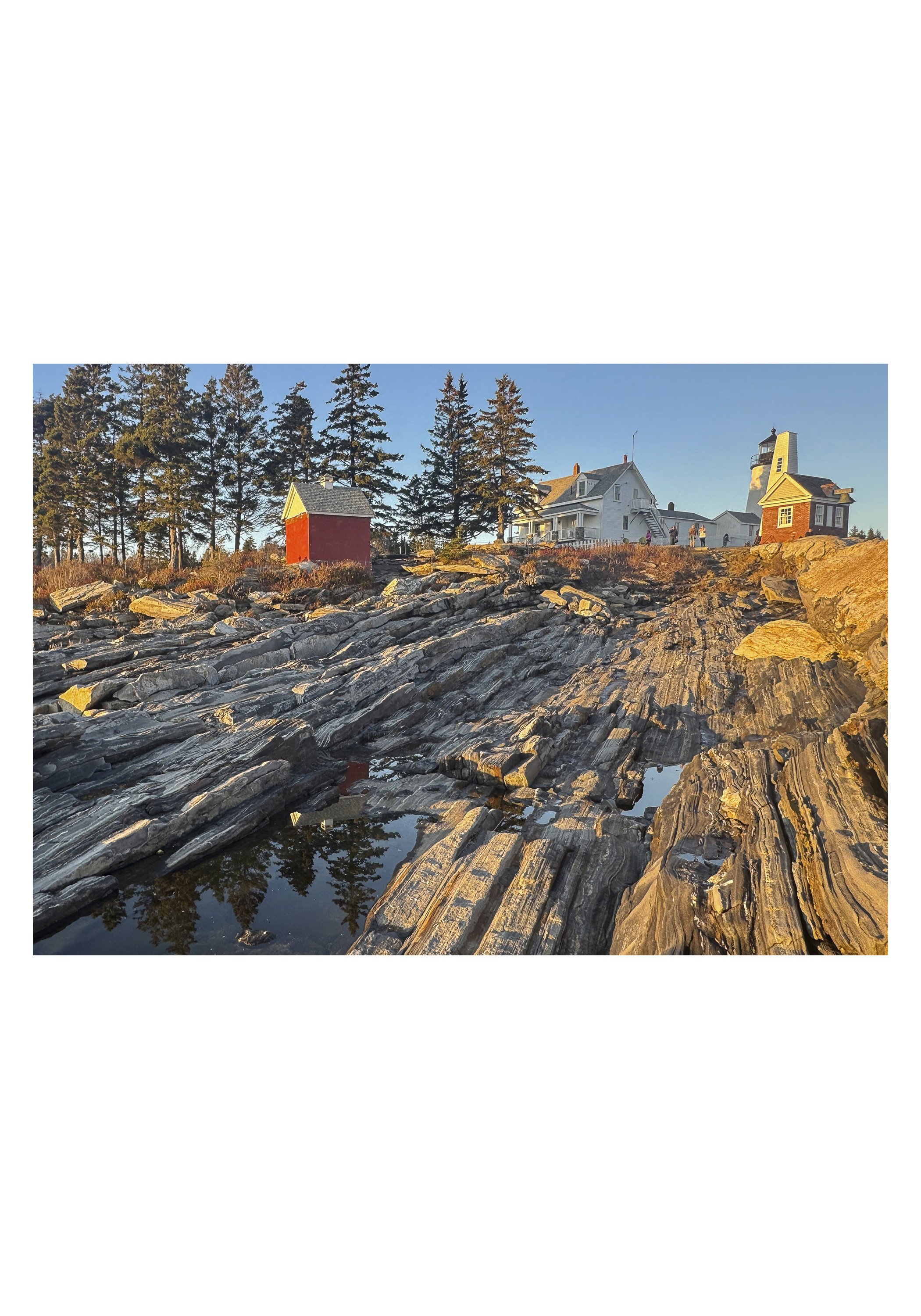 Pemaquid Point - Anne Brown - Bristol, Maine