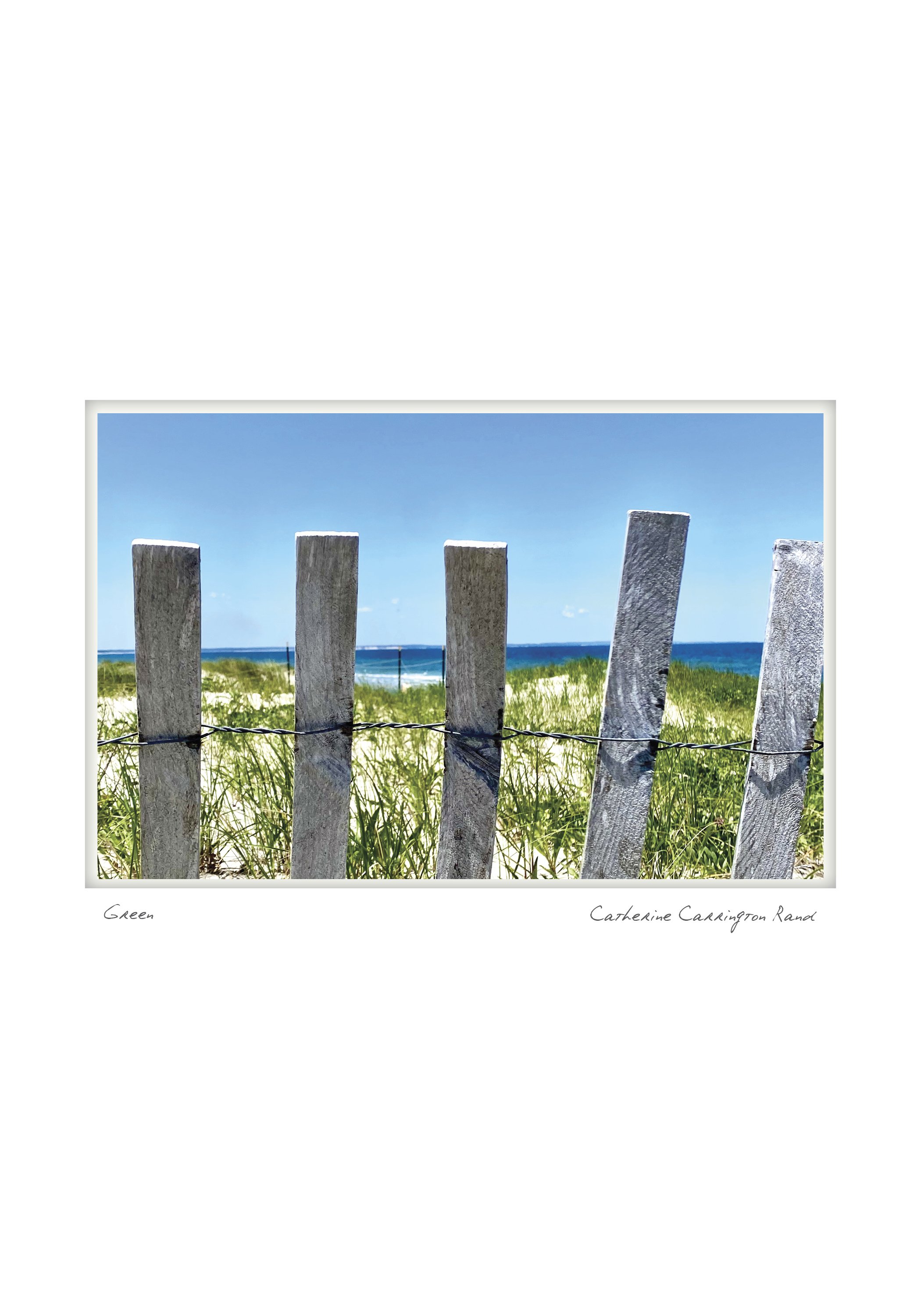 Green - Catherine Carrington Rand - West Barnstable, Massachusetts