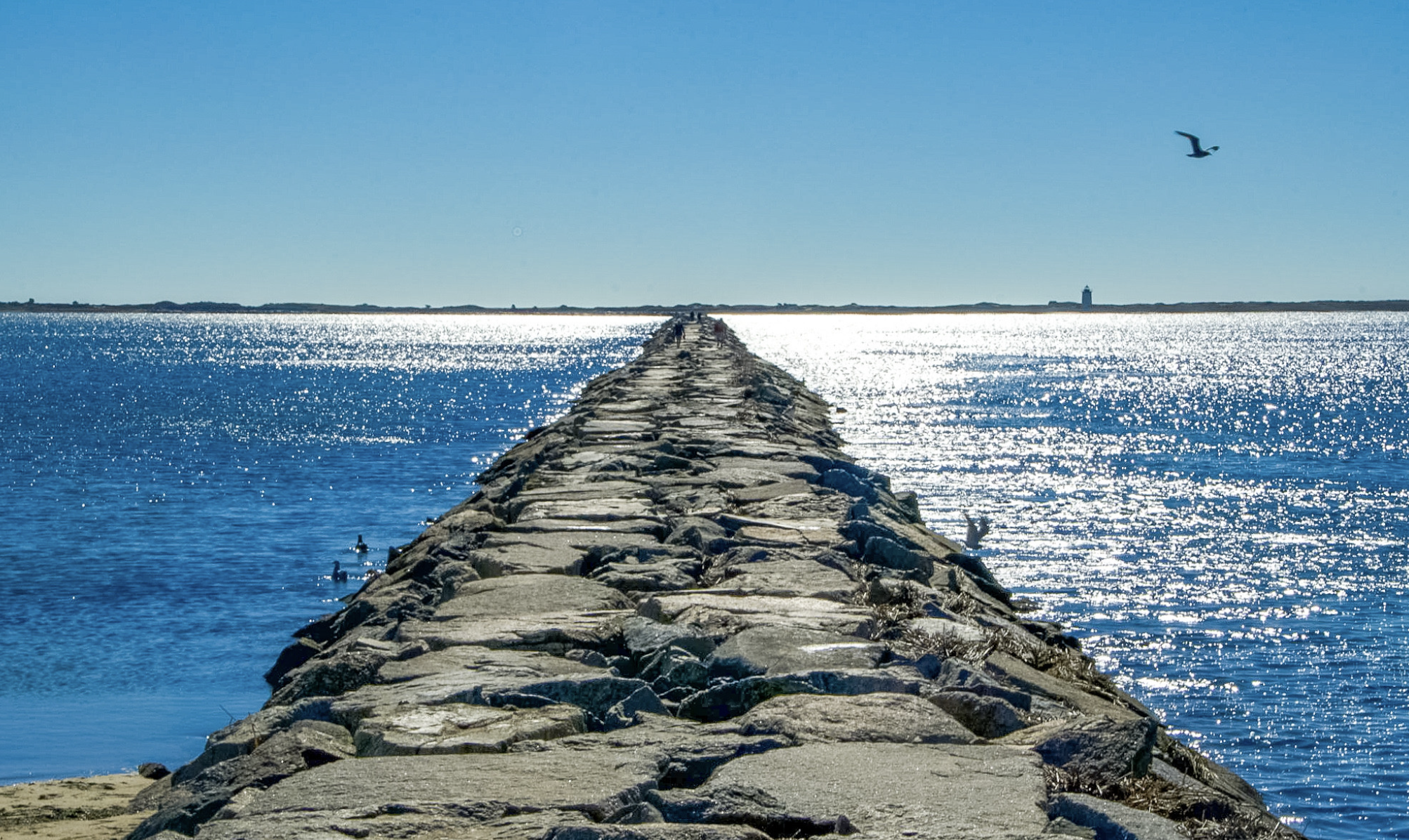 08 7 summer jetty weeks 260728