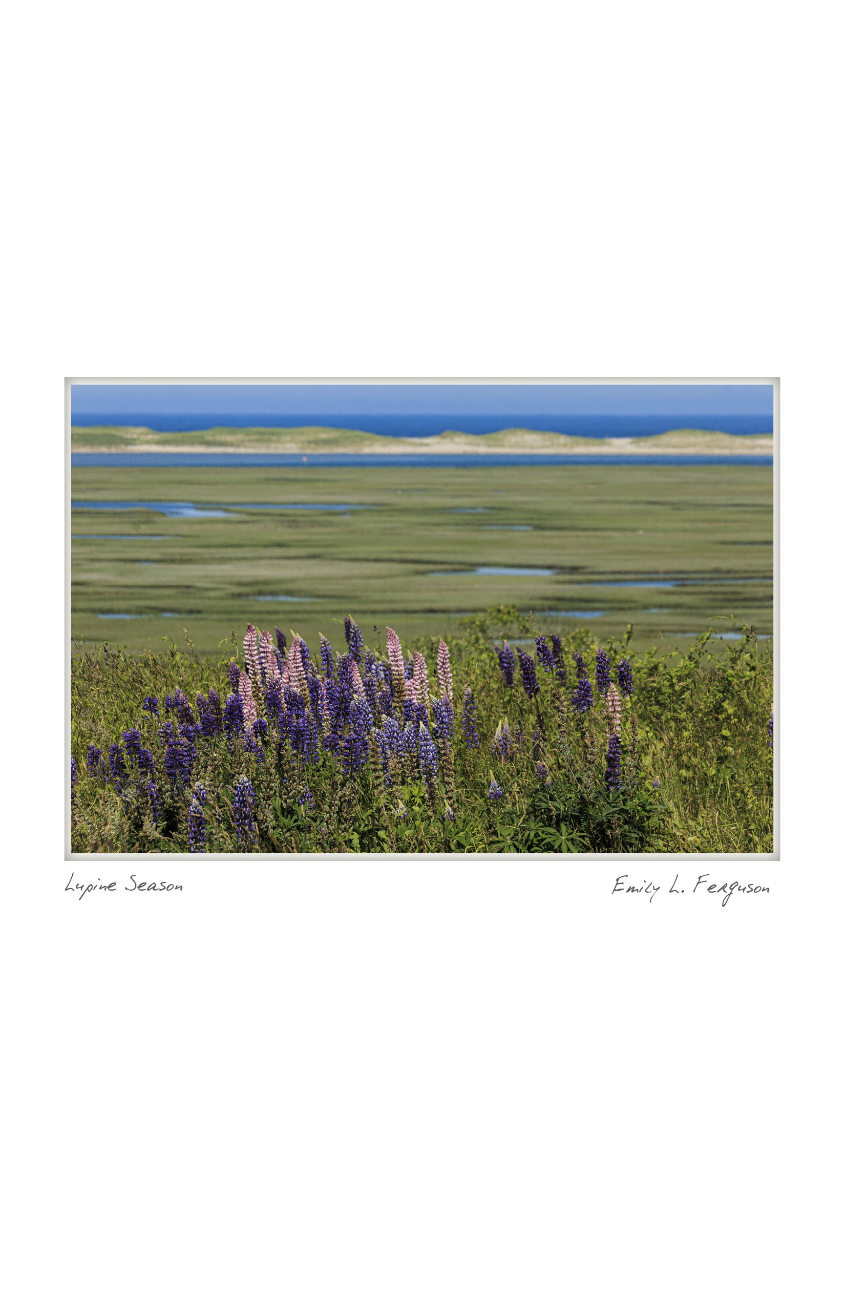 NOTECARD_4x66.jpg