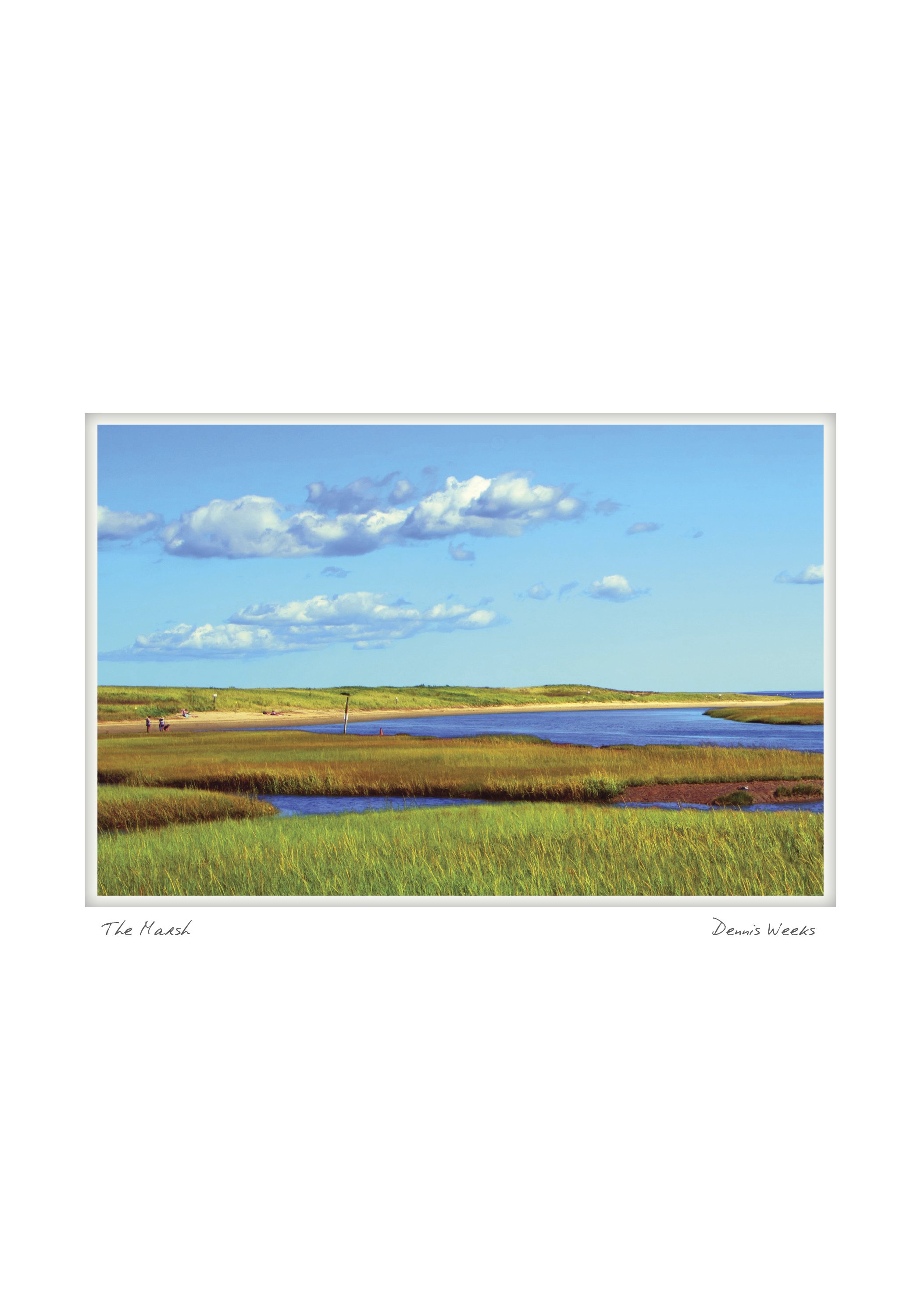 the marsh dennis weeks NOTECARD_5X7_horiz.jpg