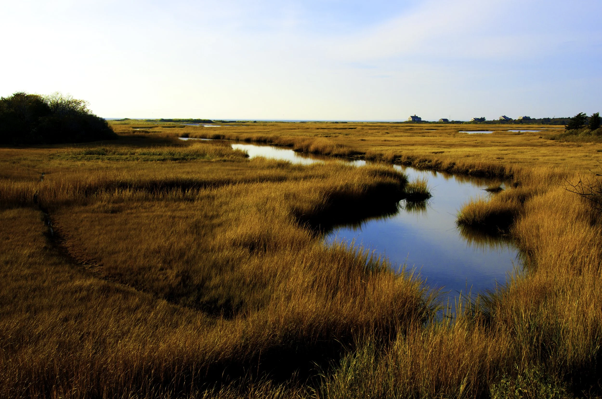 Print - "View over the Marsh": Photograph by Robert Manz - West Falmouth