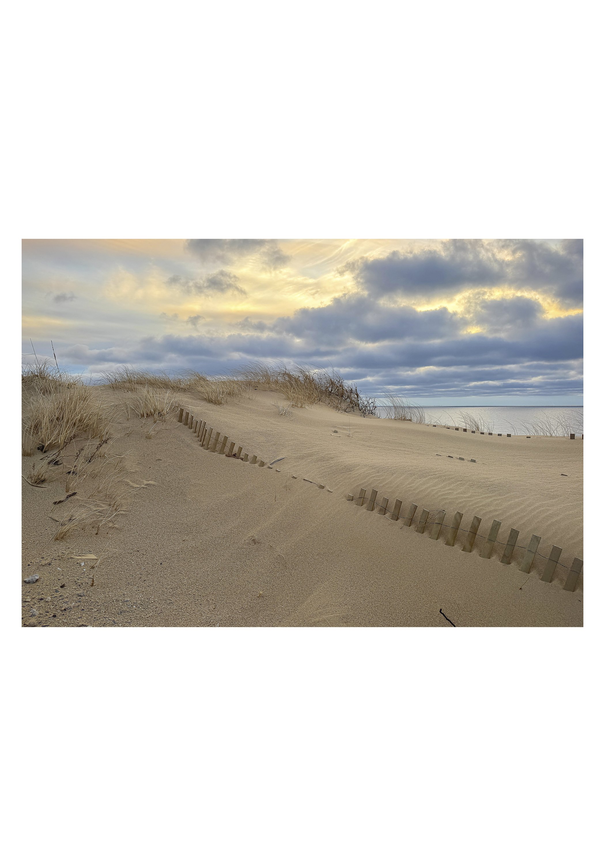 NOTECARD_5X7_horiz_NOmatte no price11.jpg