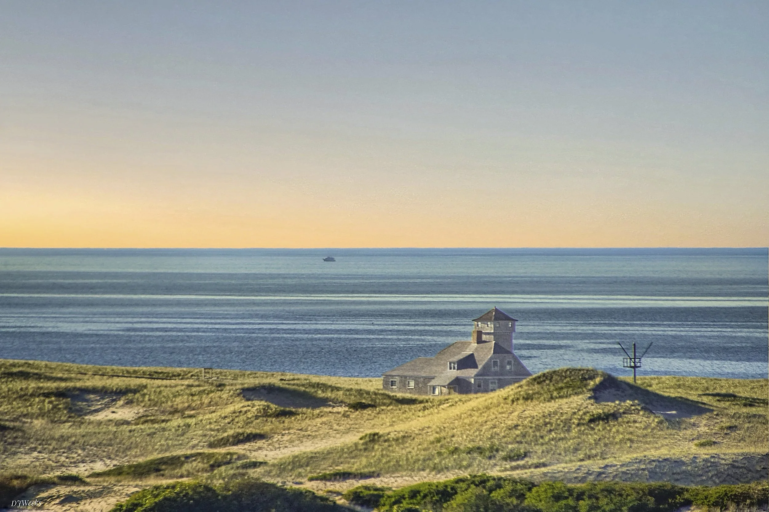 11 weeks provincelands 53304078658_a46e4e4d81_o.JPG