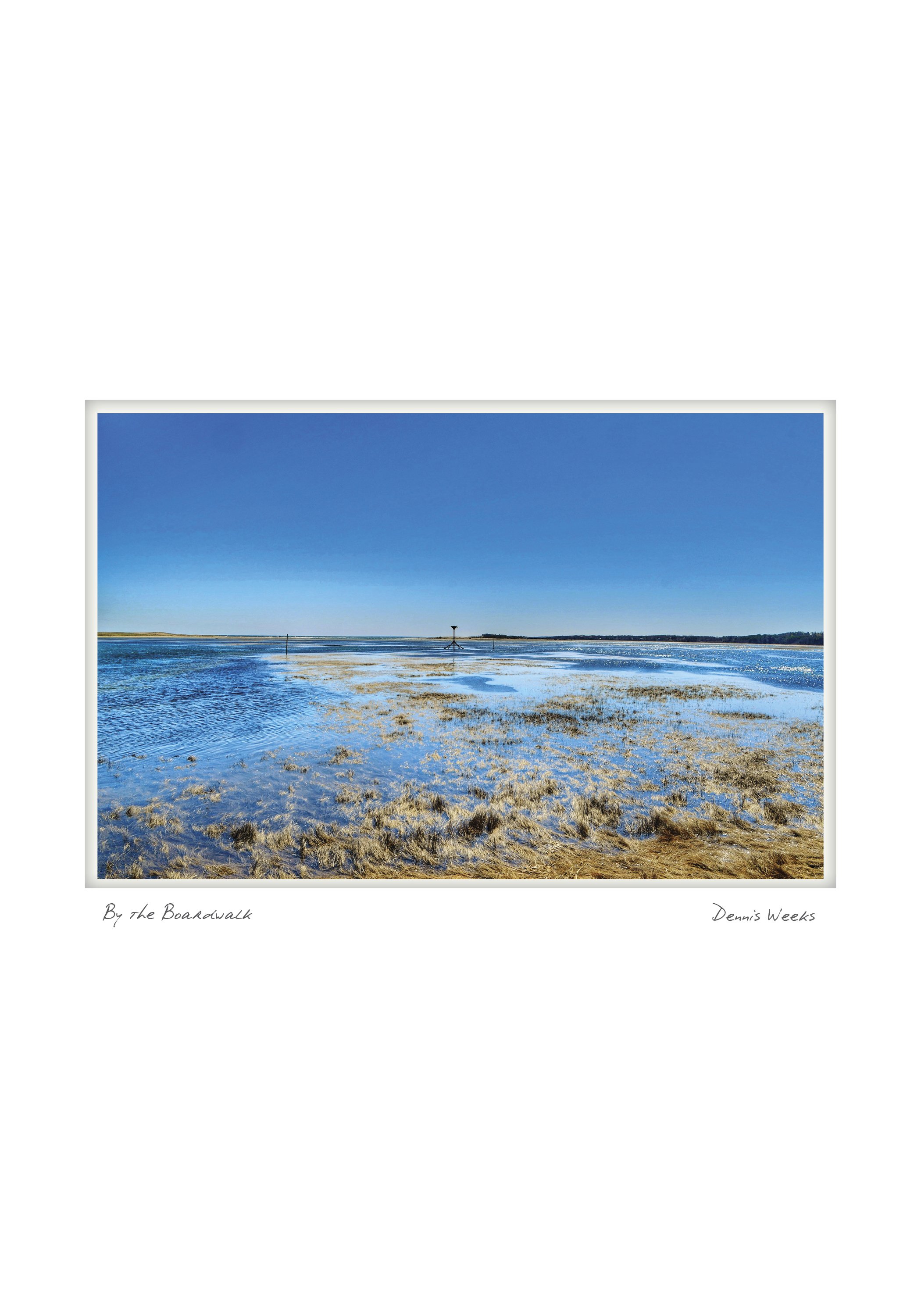 SANDWICH NOTECARD_5X7_horiz4.jpg