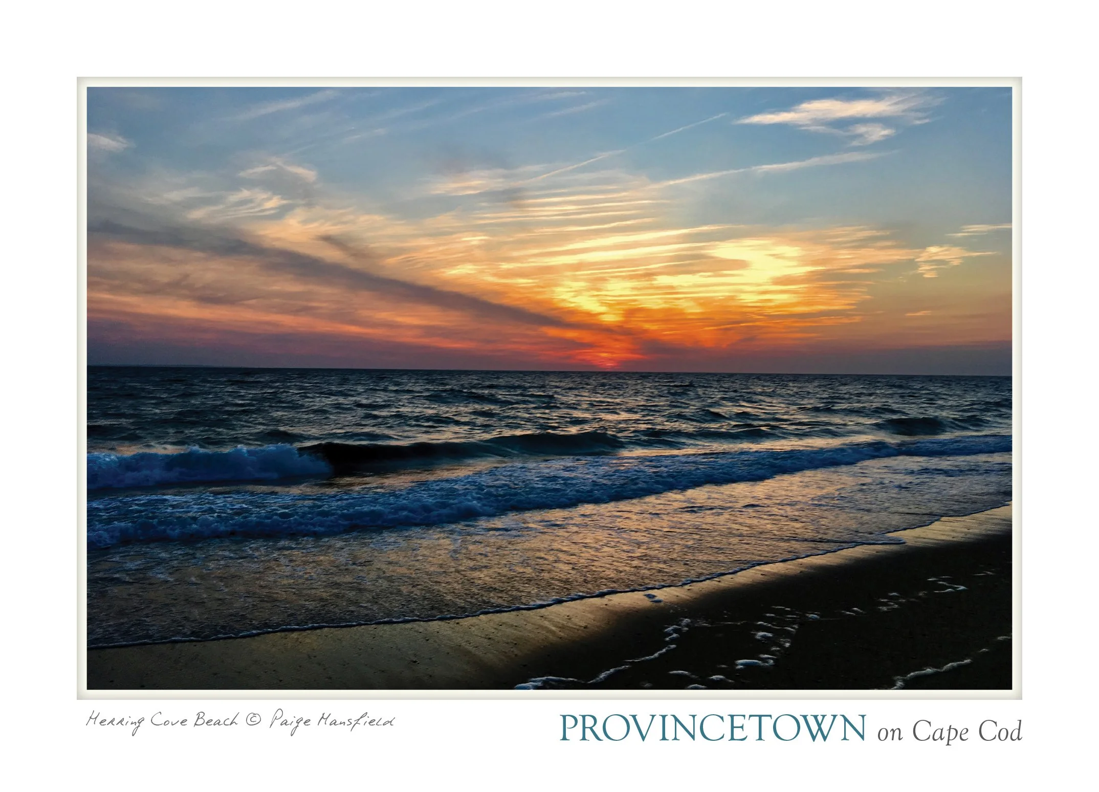 POSTCARD_5X7_3 copy.jpg