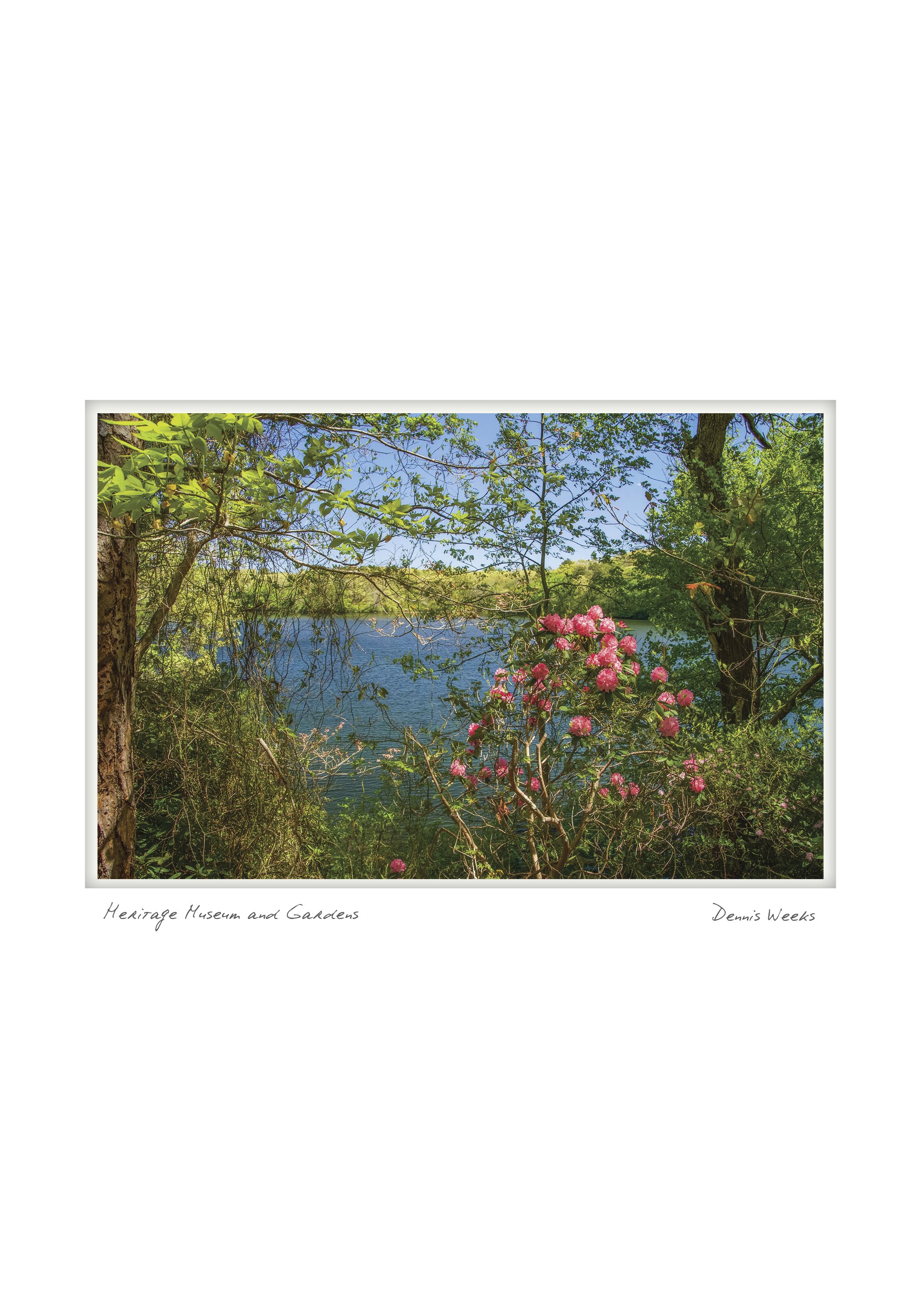 SANDWICH NOTECARD_5X7_horiz5.jpg