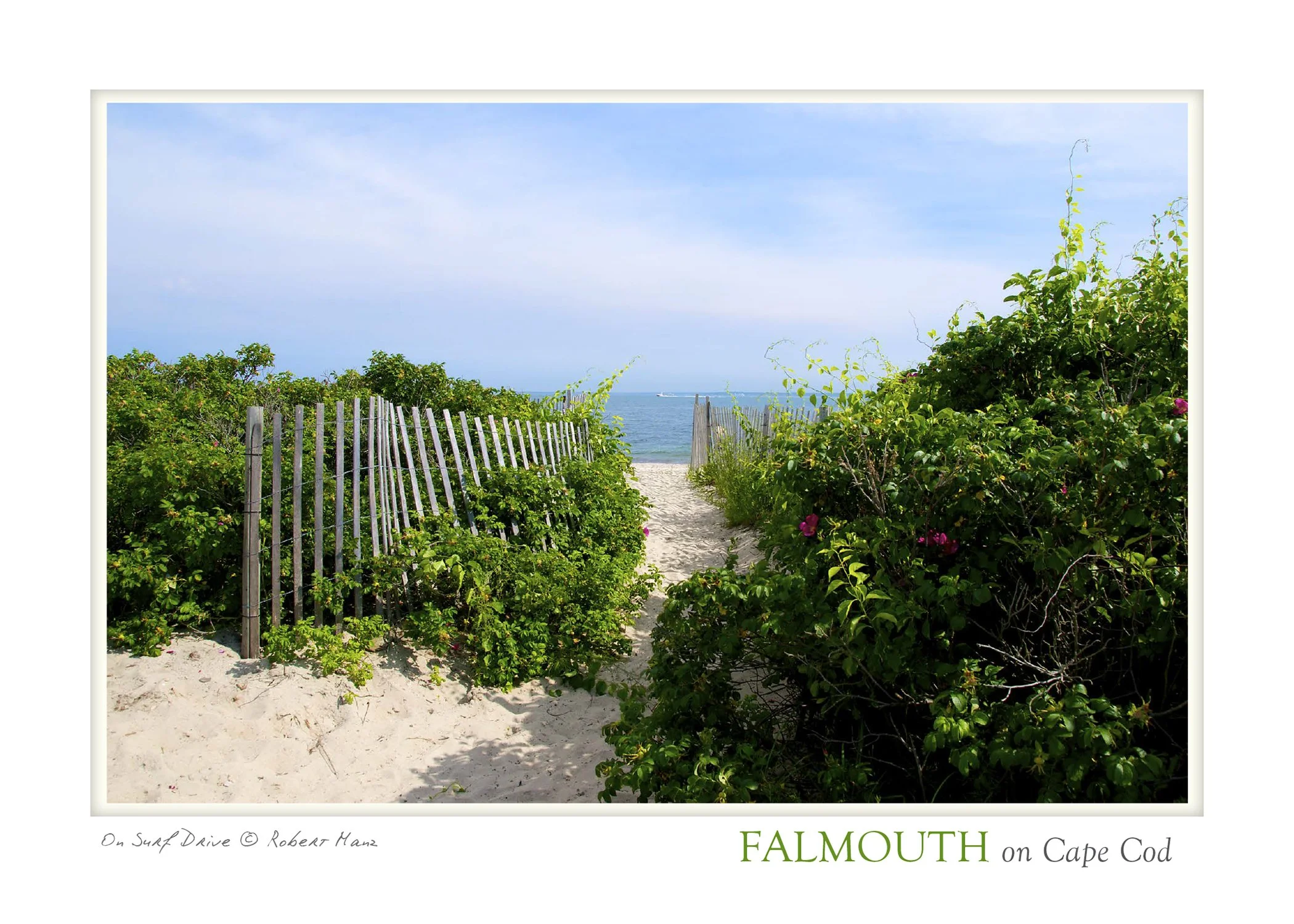 on surf drive  POSTCARD_5X7_2.jpg