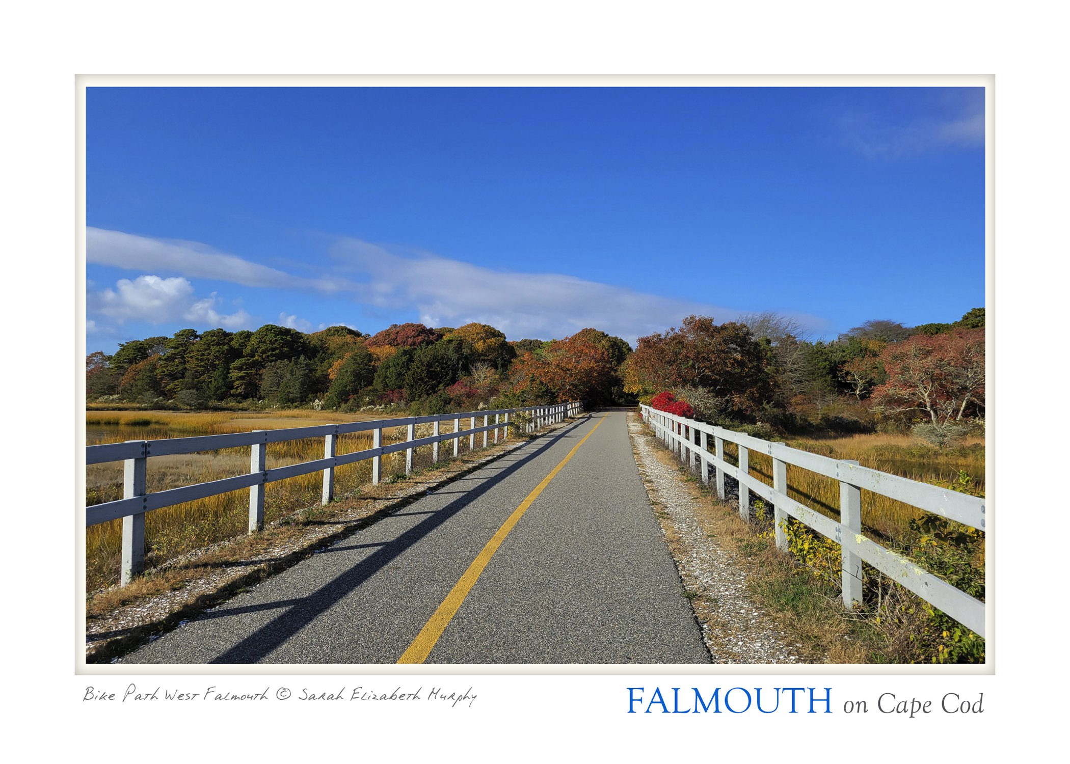 bike path POSTCARD_5X7_2.jpg