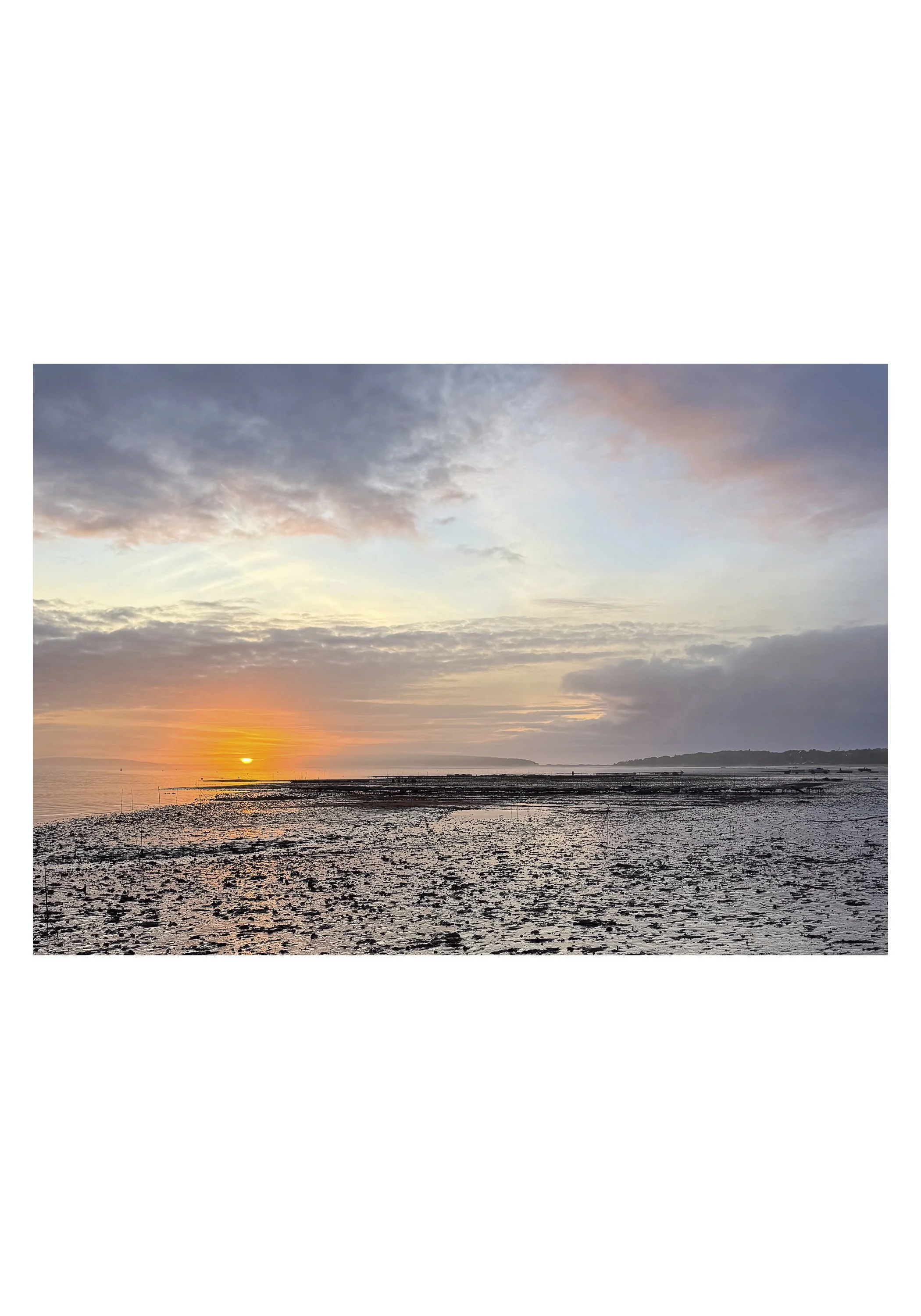 NOTECARD_5X7_horiz_NOmatte no price12.jpg