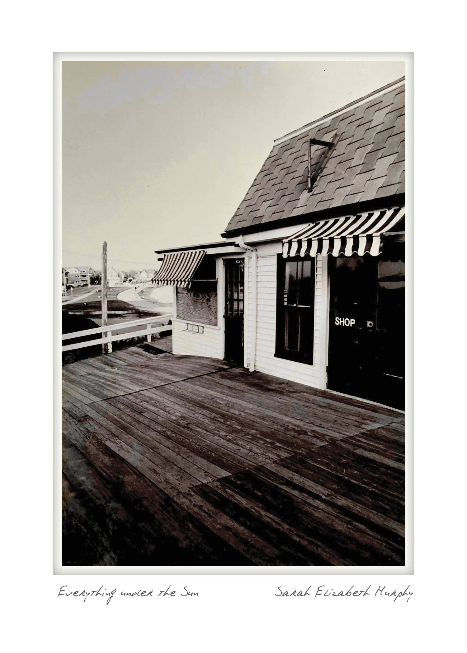 Everything under the Sun by Sarah E. Murphy - the Heights, Falmouth, Massachusetts