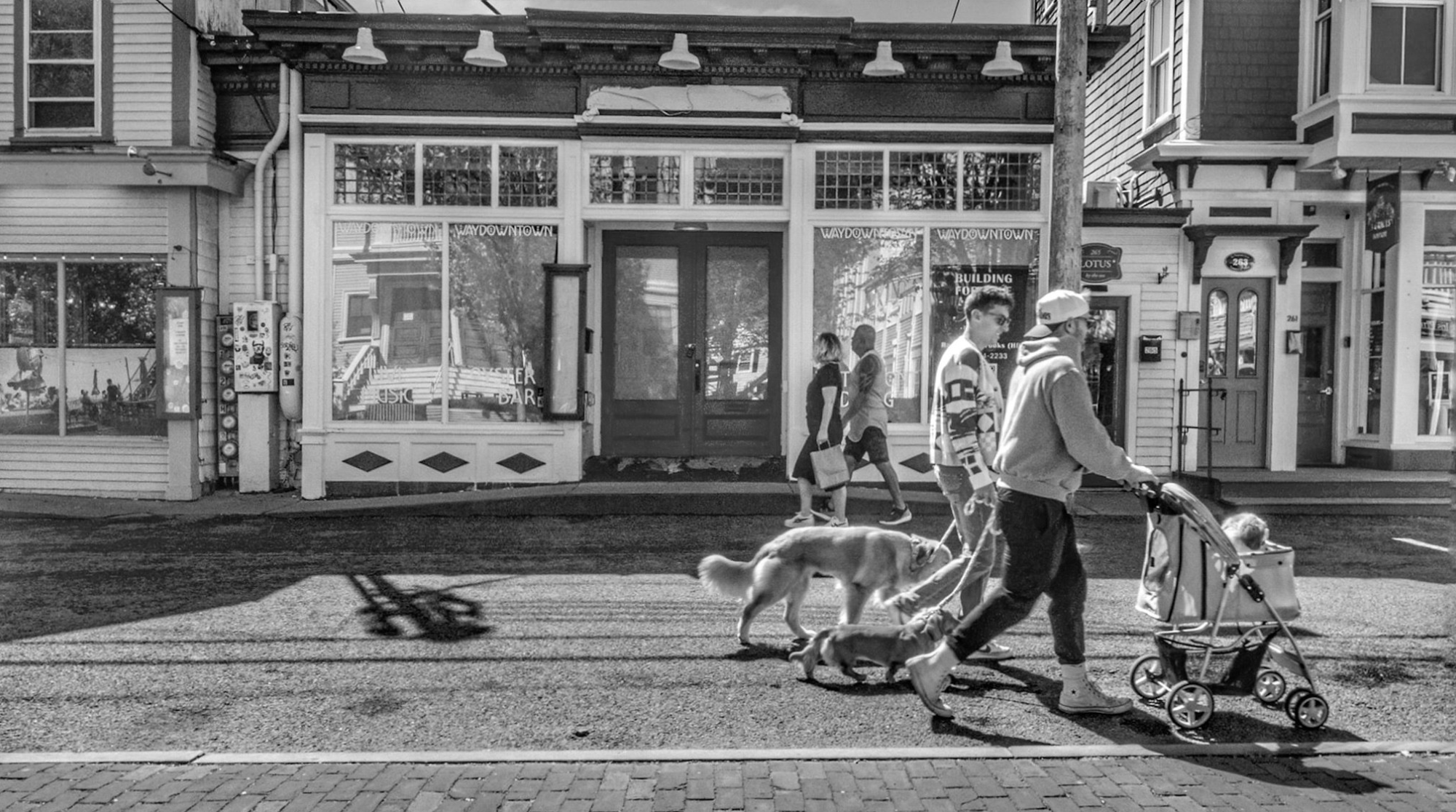 09 8 walking the dog weeks Flickr 260813