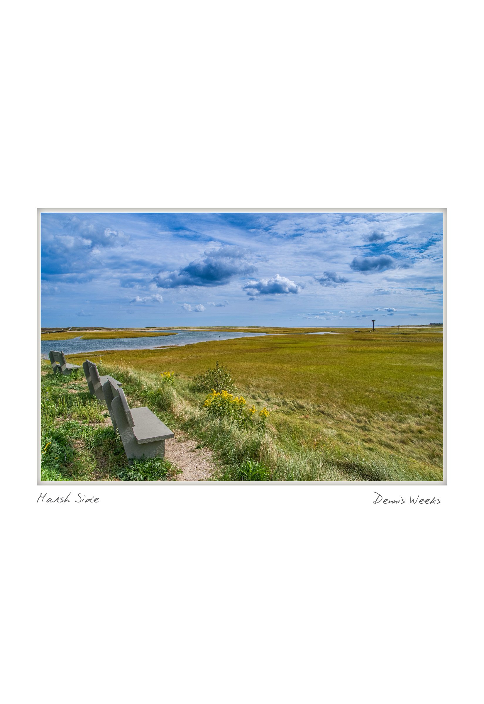 half marsh side - weeks NOTECARD_4.25x5.5.jpg