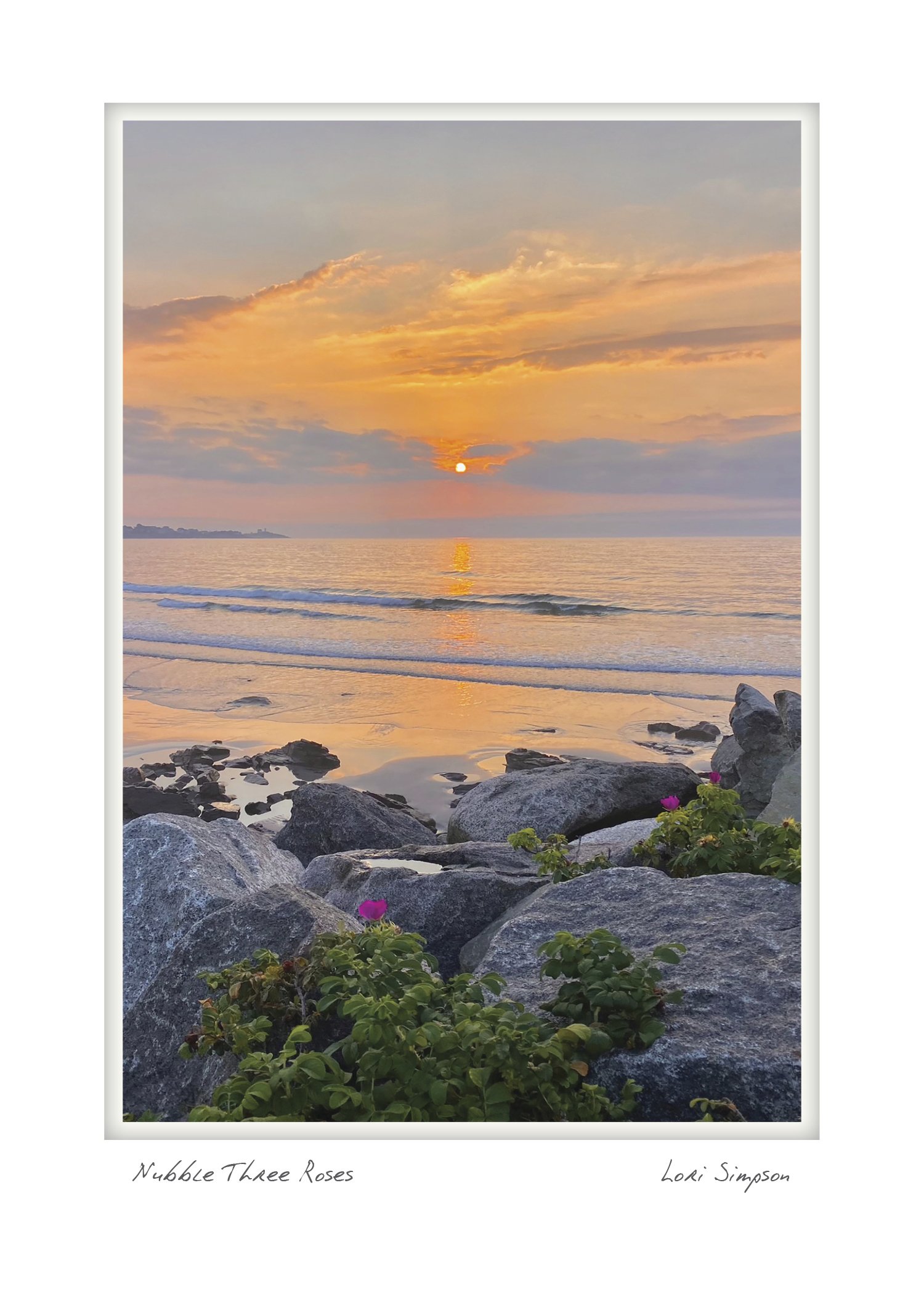half nubble three roses NOTECARD_5X7_vert.jpg