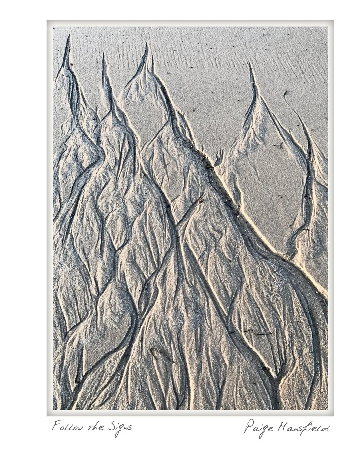 half follow the signs NOTECARD_4.25x5.5 vertical.jpg