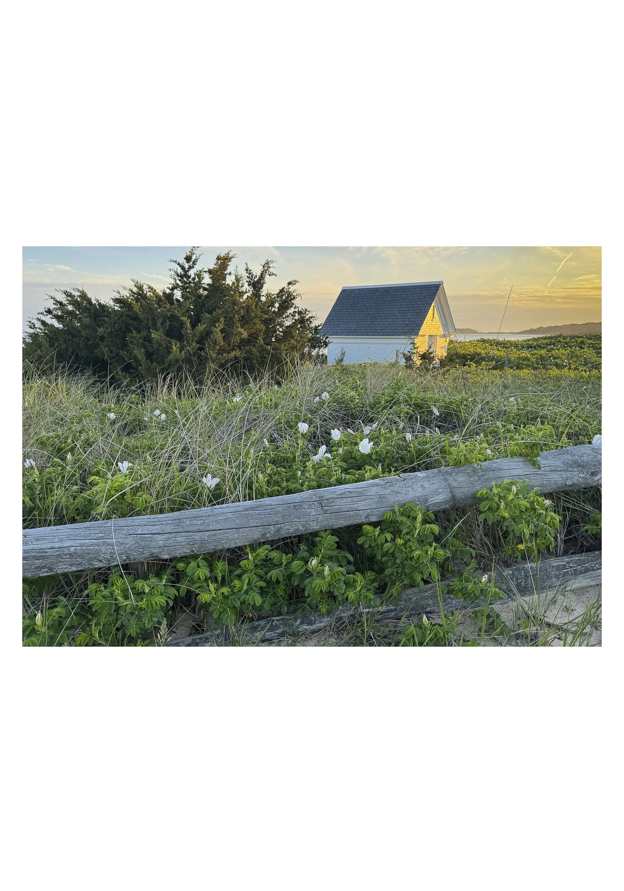 NOTECARD_5X7_horiz_NOmatte no price6.jpg