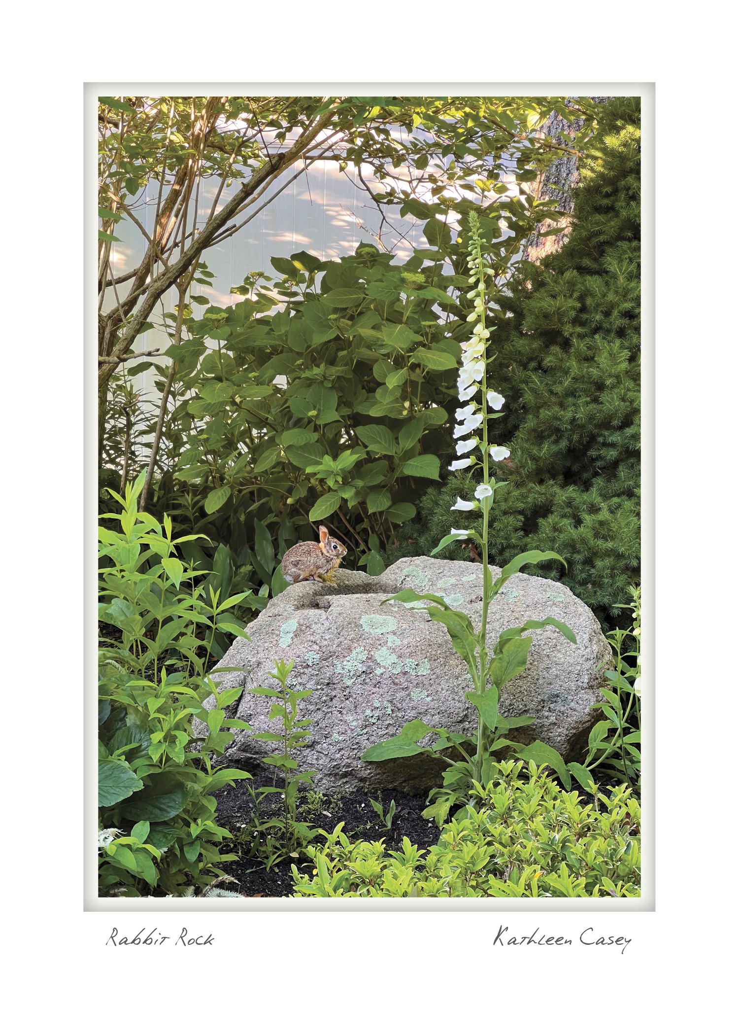 falmouth NOTECARD_5X7_vert.jpg