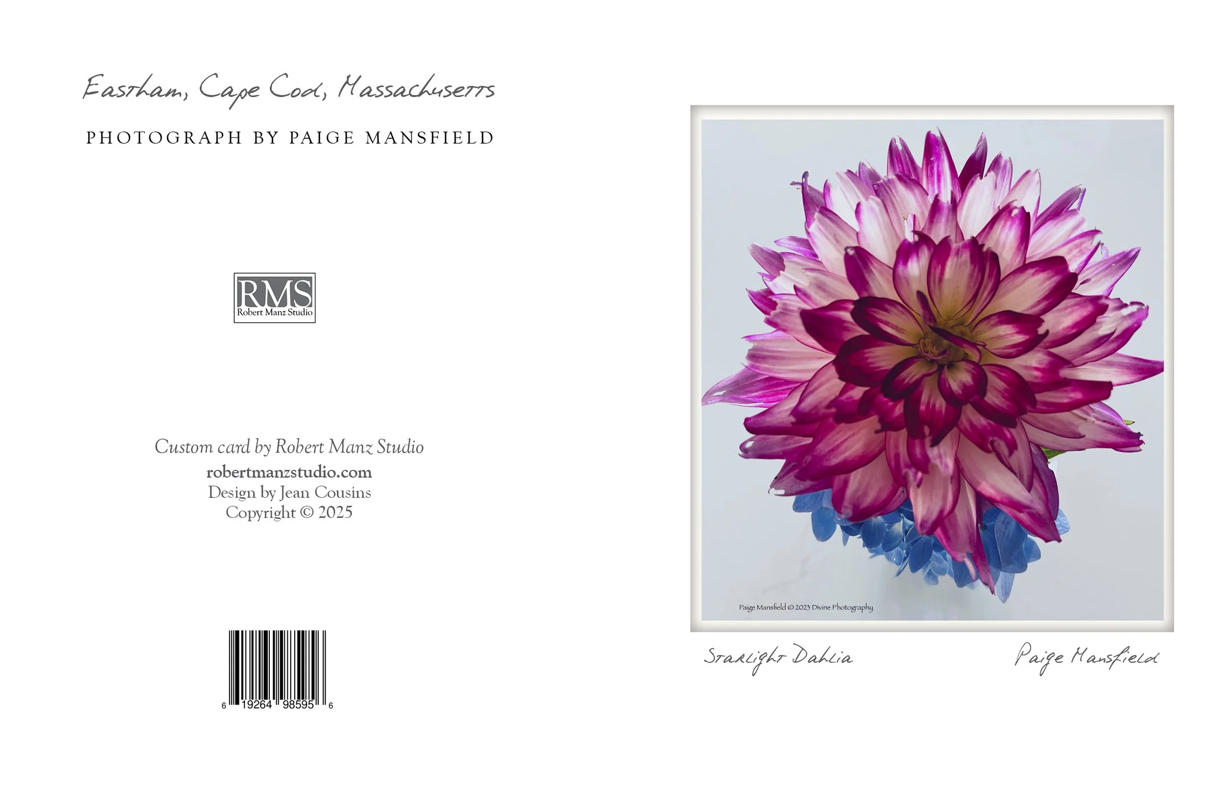 starlight dahlia NOTECARD_4.25x5.5 vertical.jpg