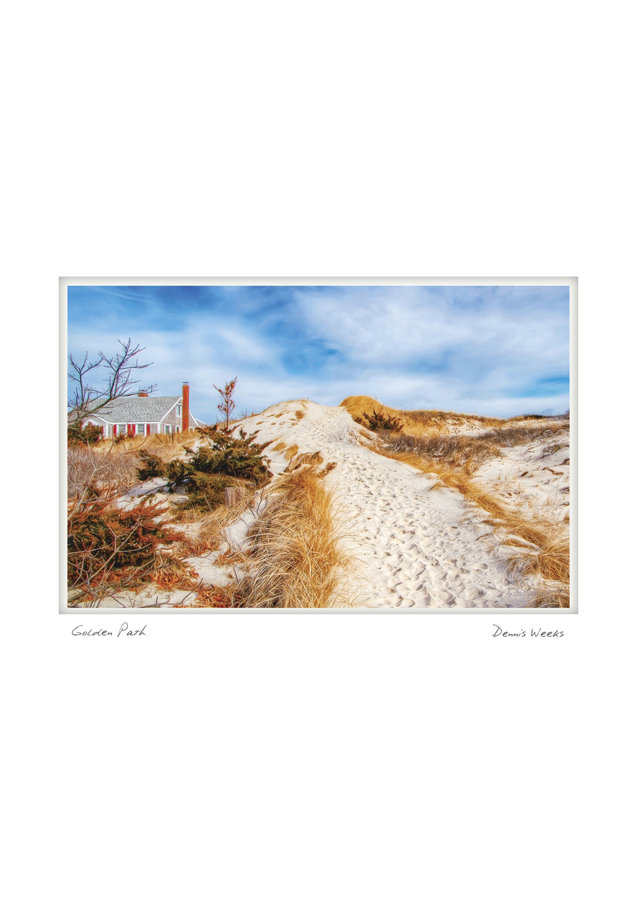 SANDWICH NOTECARD_5X7_horiz2.jpg