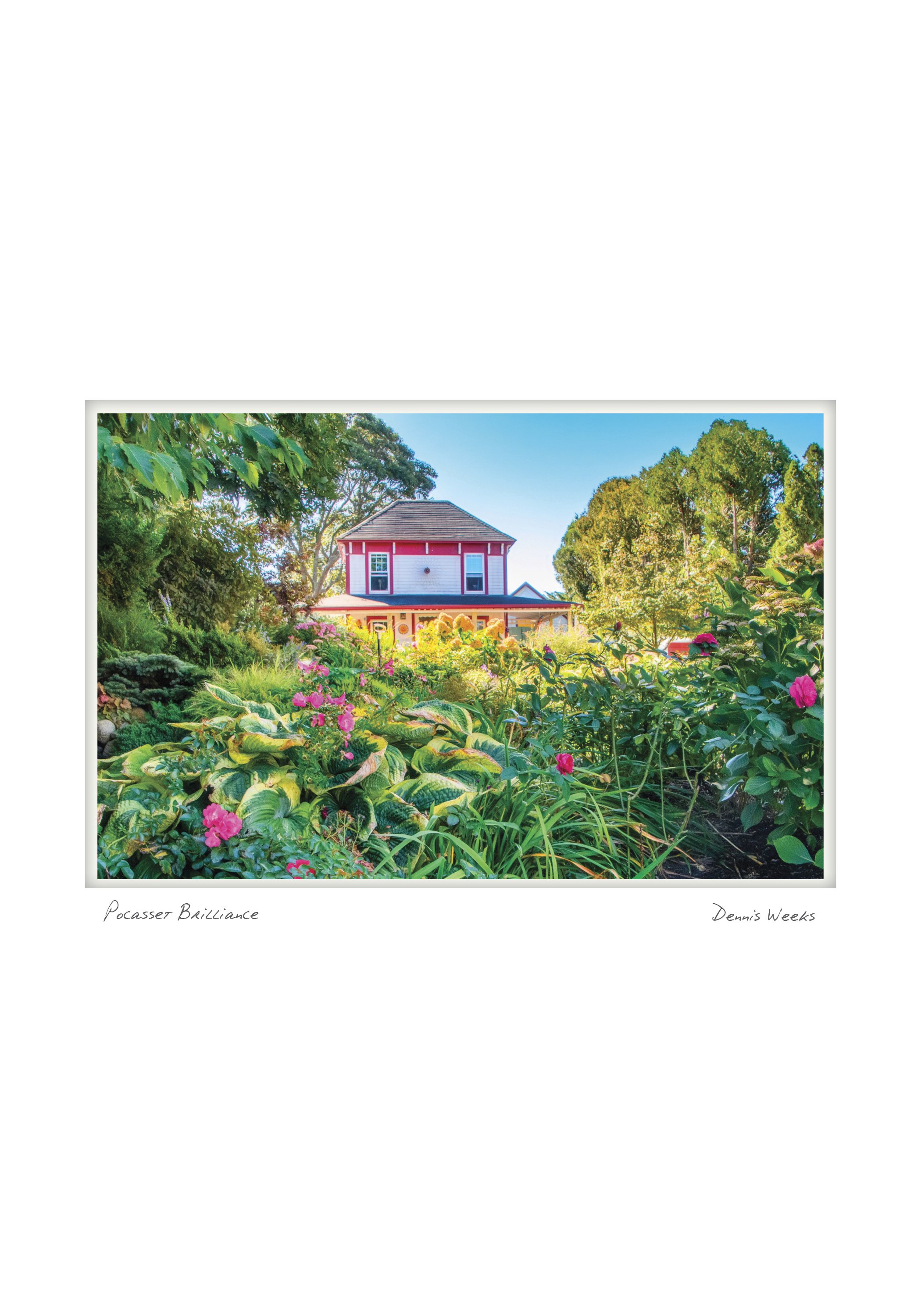 Pocasset Brilliance by Dennis Weeks - Bourne, Massachusetts