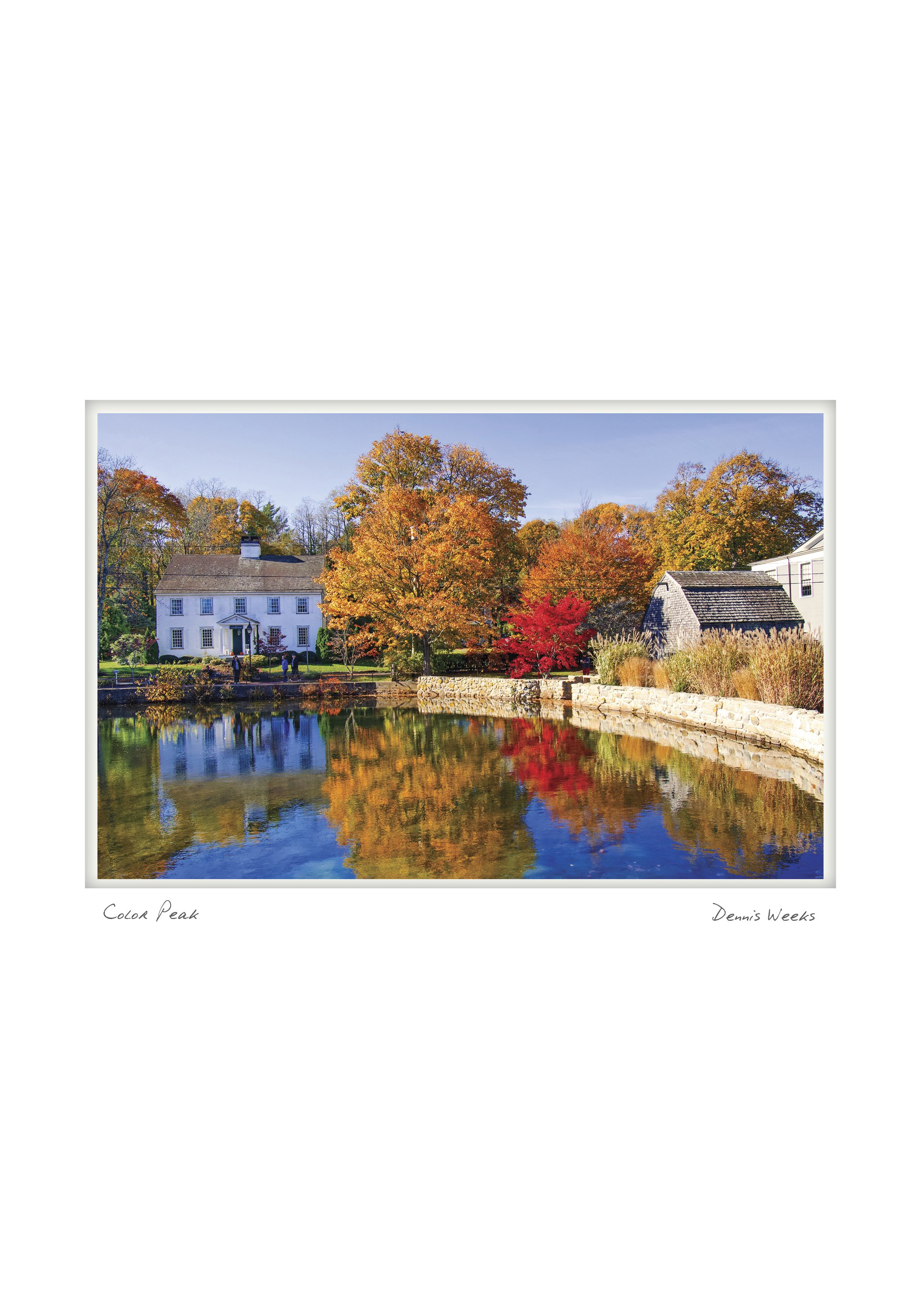 SANDWICH NOTECARD_5X7_horiz10.jpg
