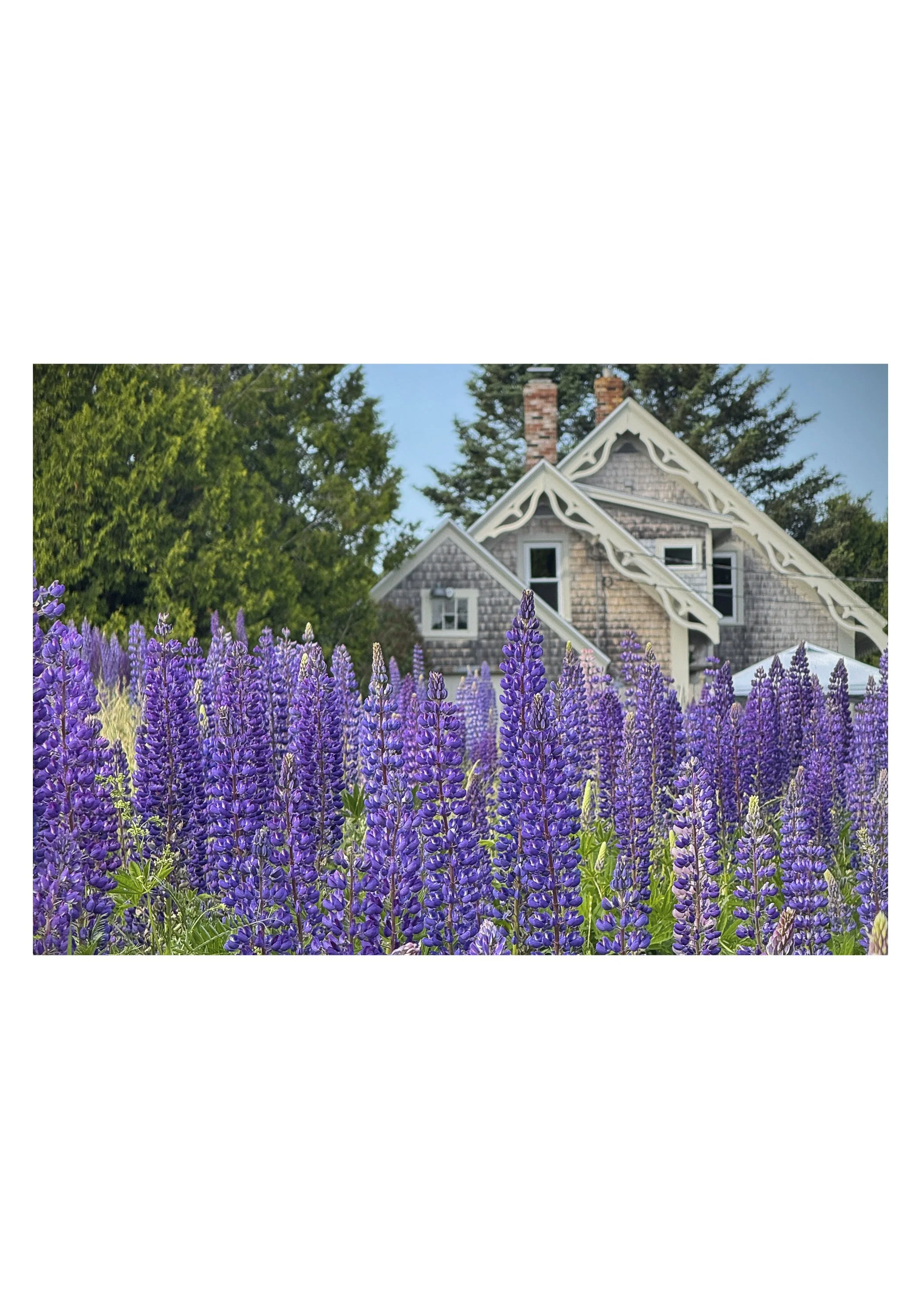 NOTECARD_5X7_horiz_NOmatte no price6.jpg