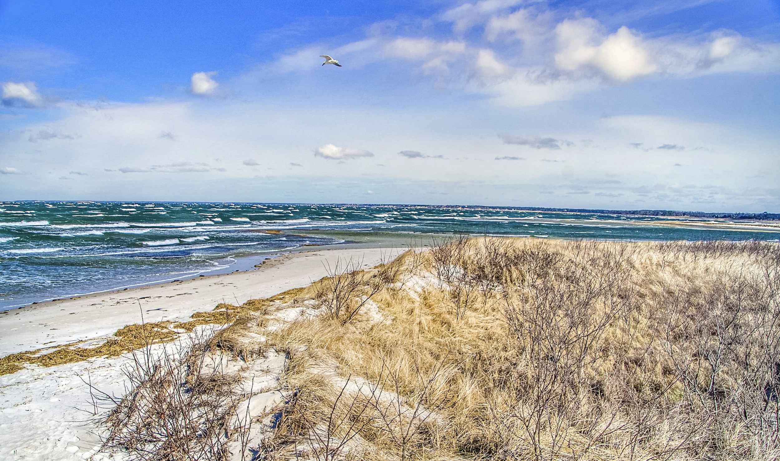 3 nauset winds weeks flickr 240311