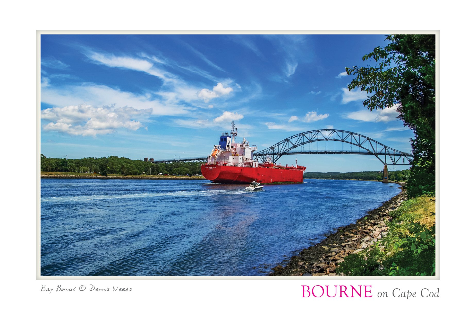 bay bound 4X6_POSTCARD 2.jpg