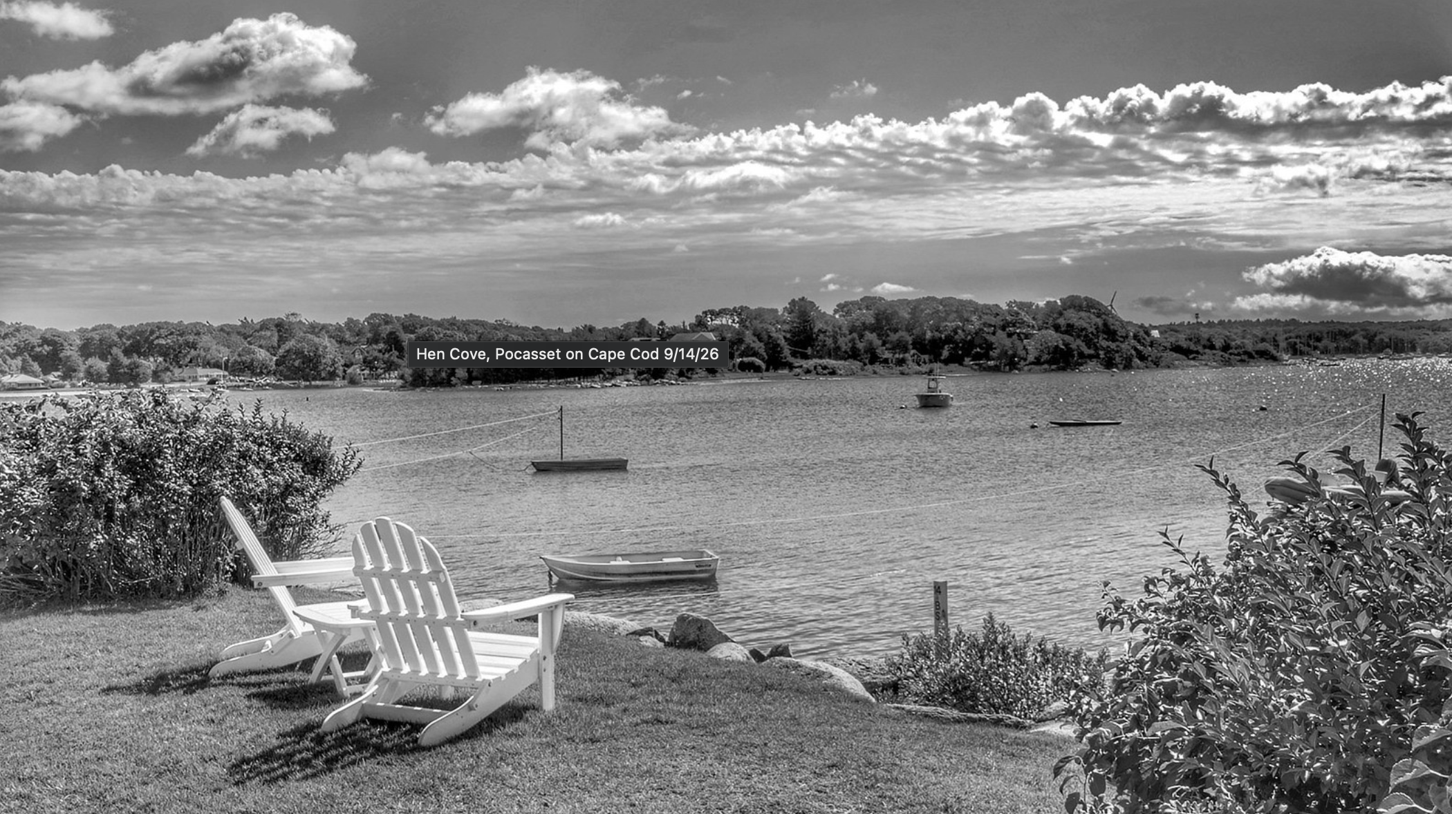 9 hen cove weeks flickr 250914