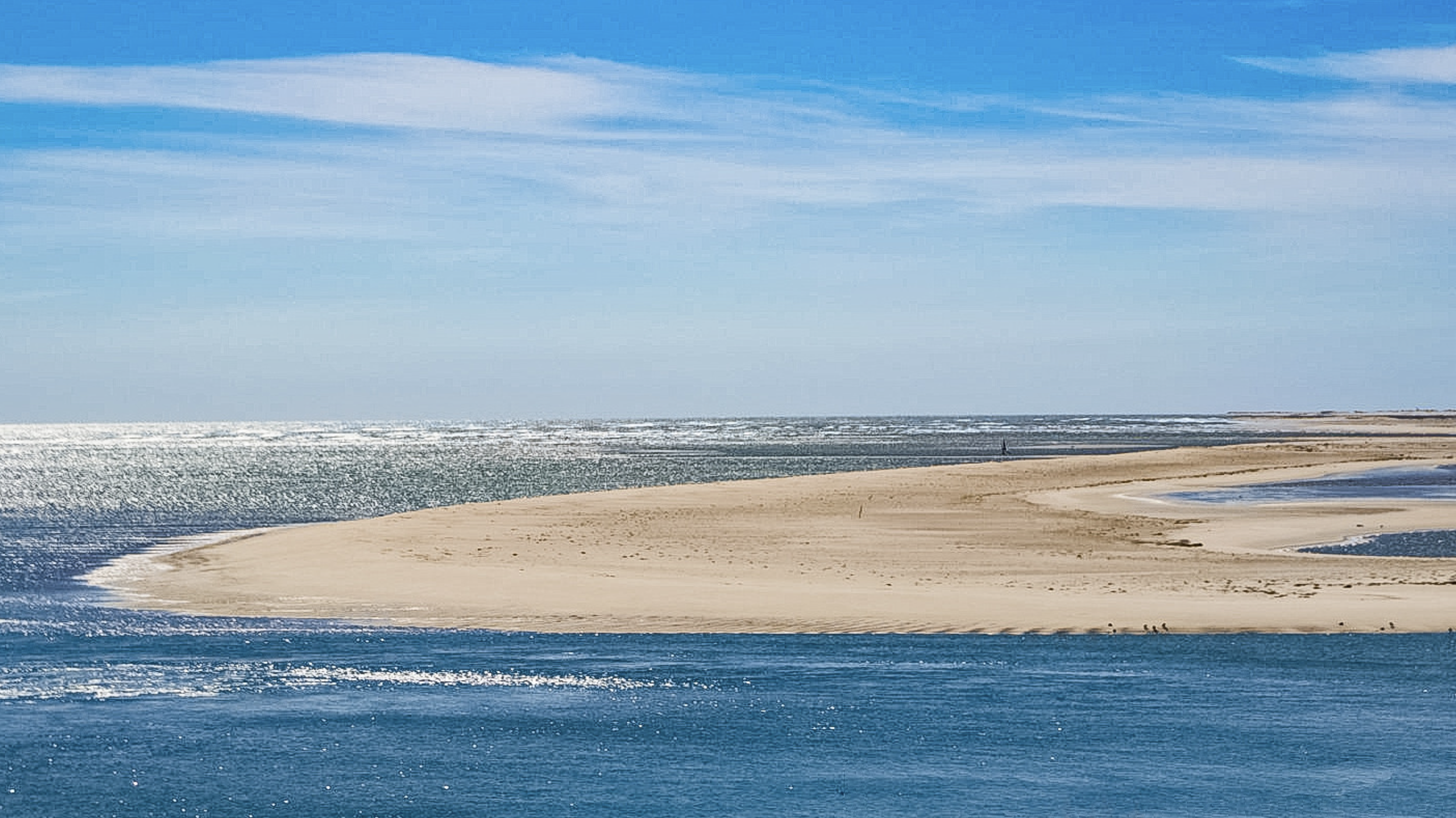 2 3 monomoy sandbar weeks flickr 260319