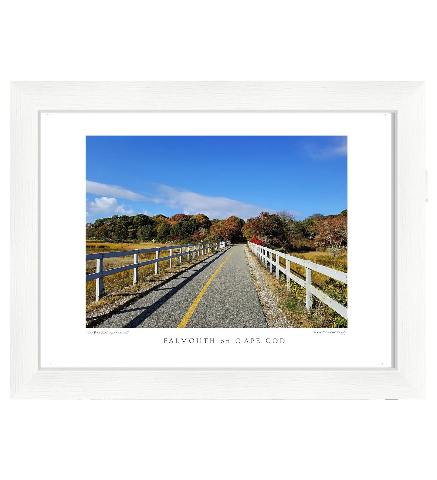 the Bike Path West Falmouth: Photograph by Sarah Elizabeth Murphy