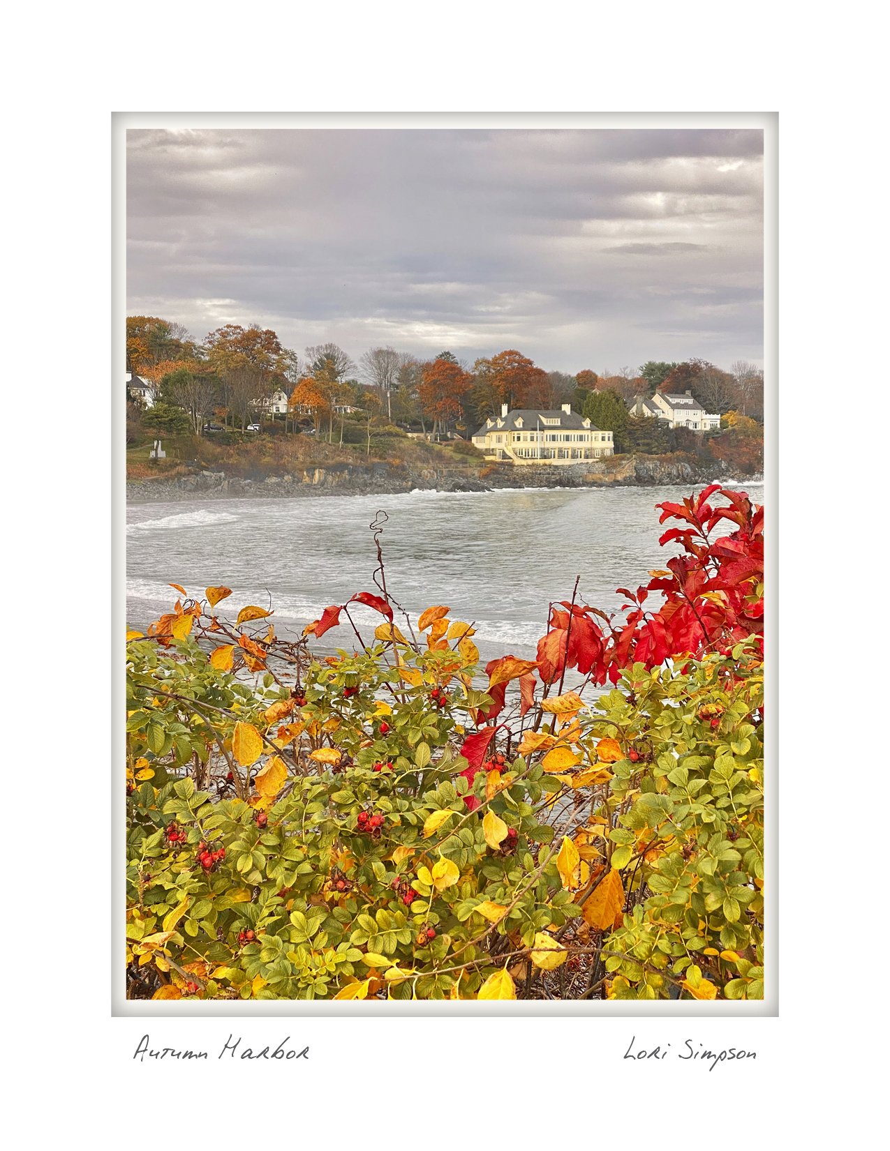 half autumn harbor 5 NOTECARD_4X6_vertical.jpg