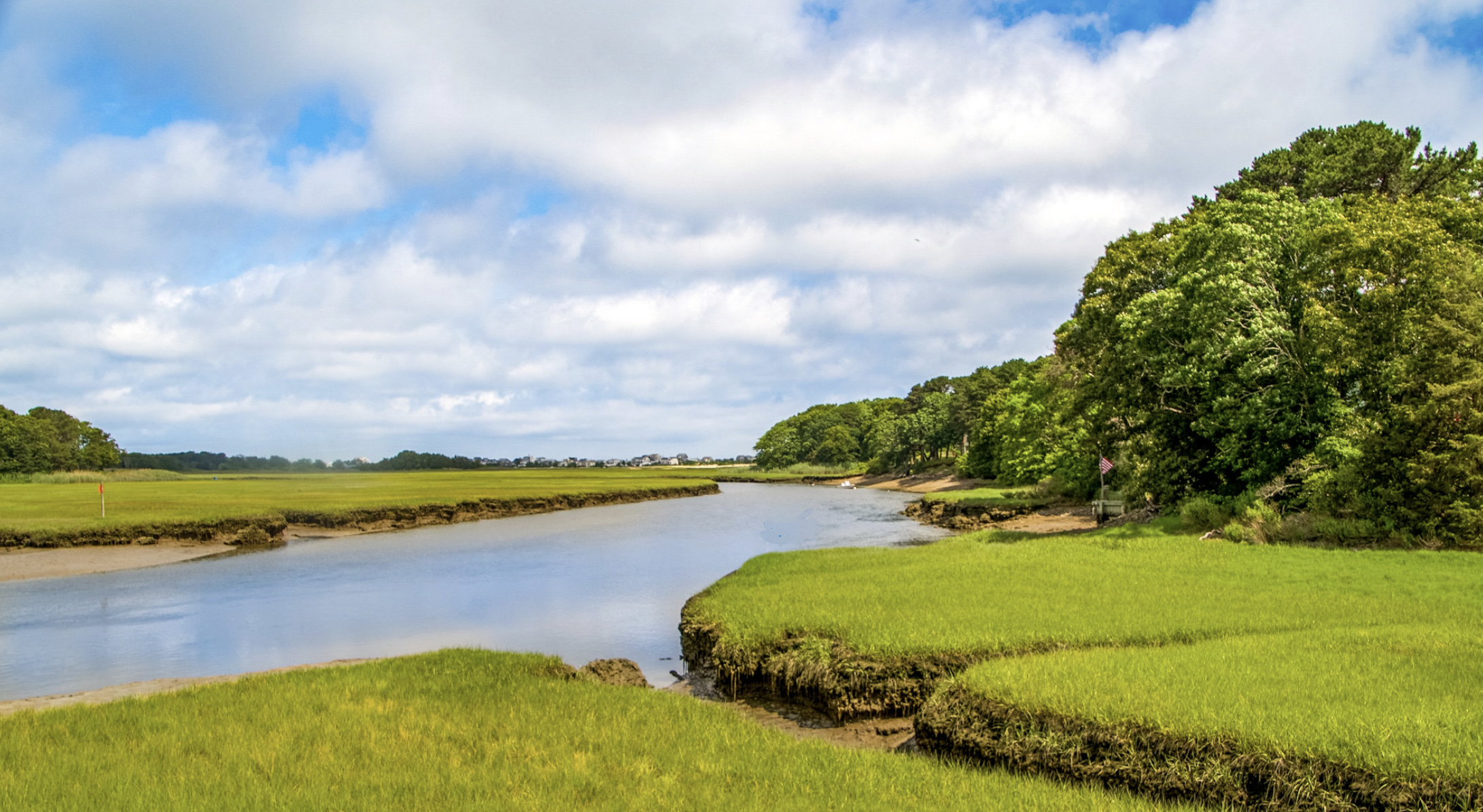 5 scorton creek weeks Flickr 260528