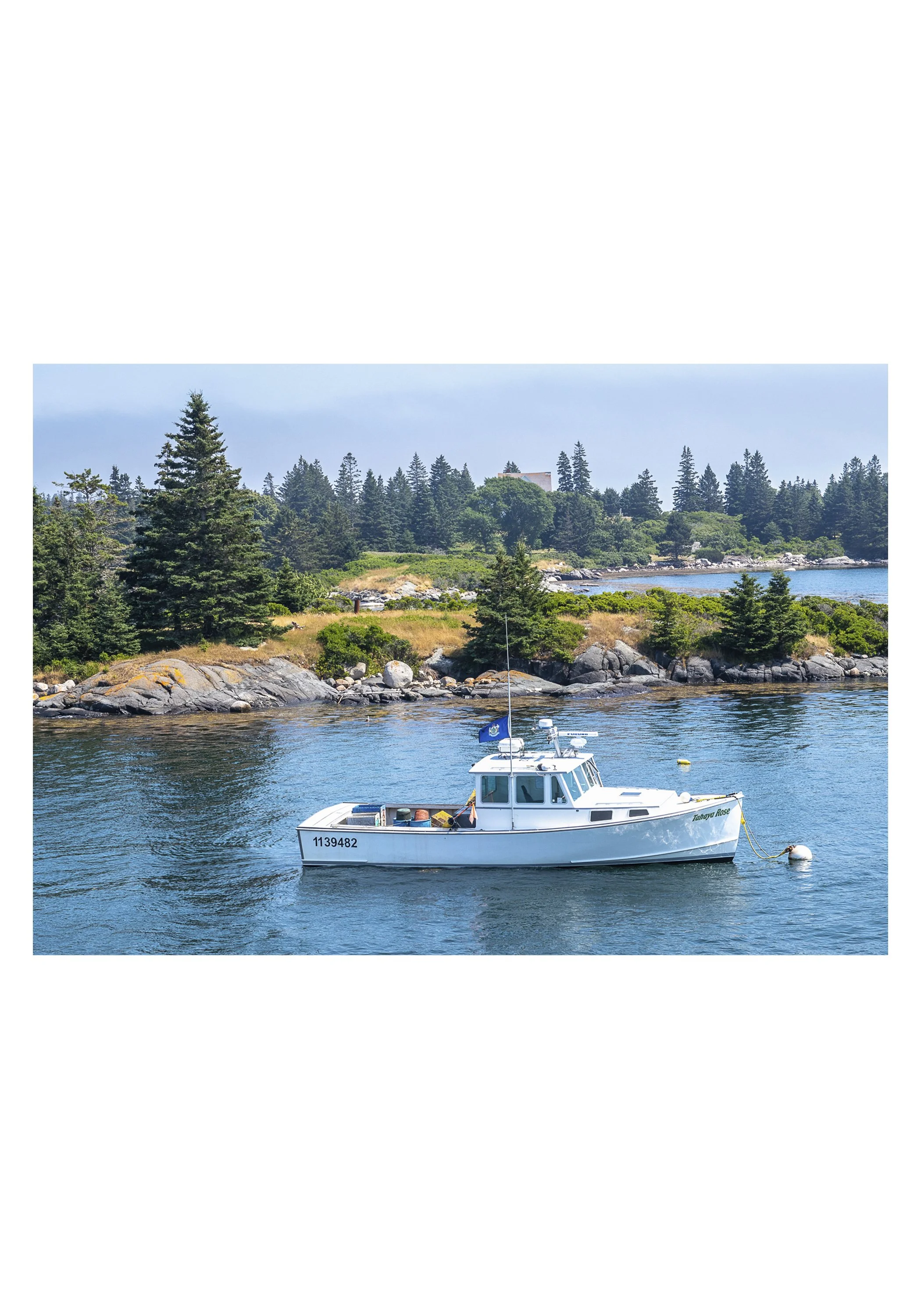Ferry View - Anne Brown - Vinalhaven Harbor, Maine