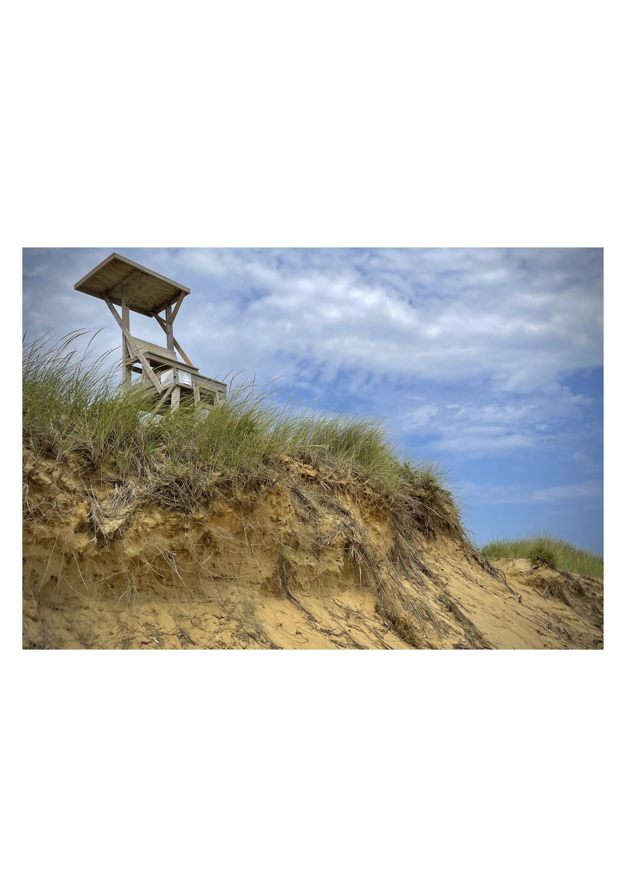 half NOTECARD_5X7_horiz_NOmatte no price5.jpg