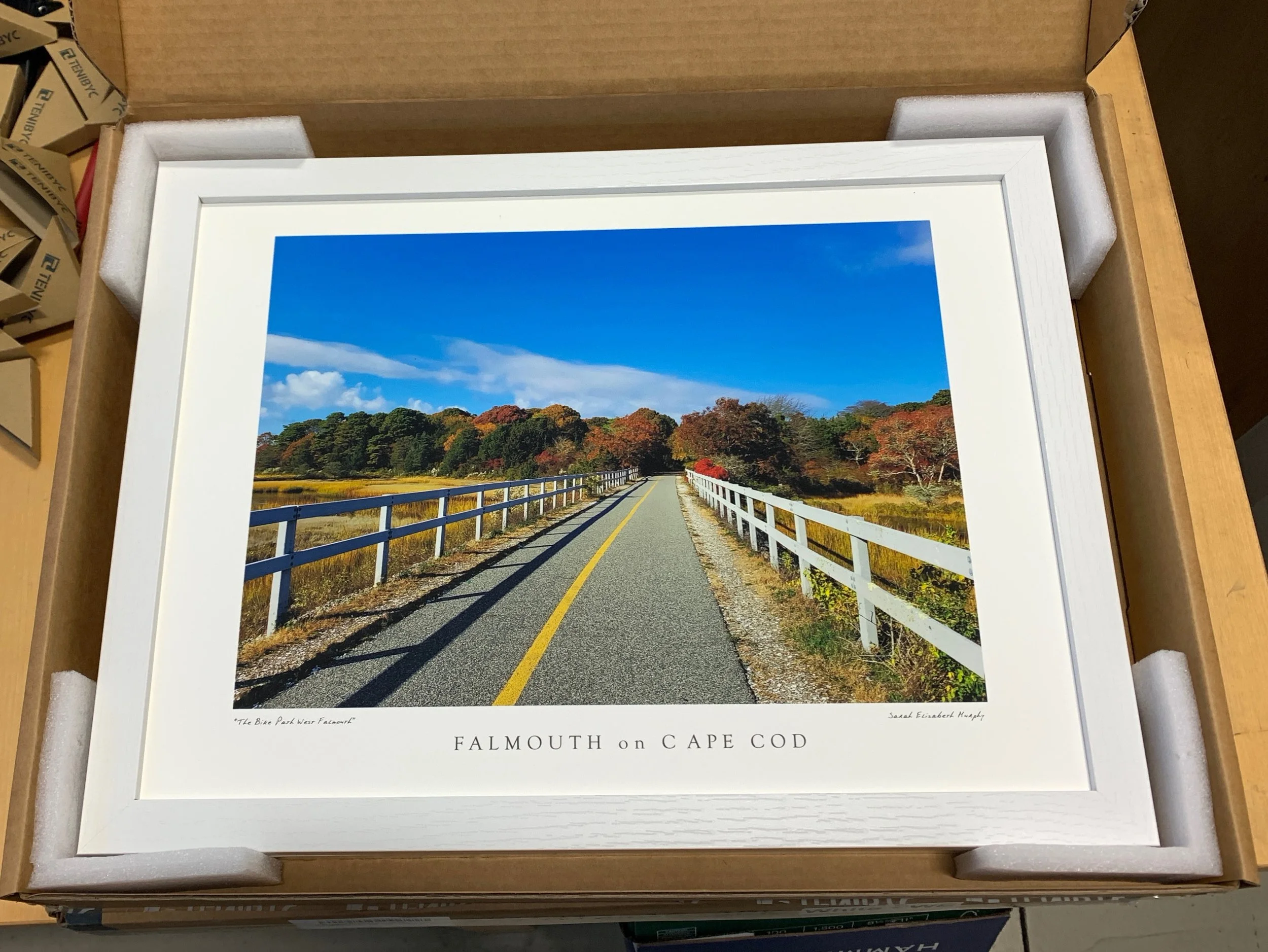 the Bike Path West Falmouth: Photograph by Sarah Elizabeth Murphy