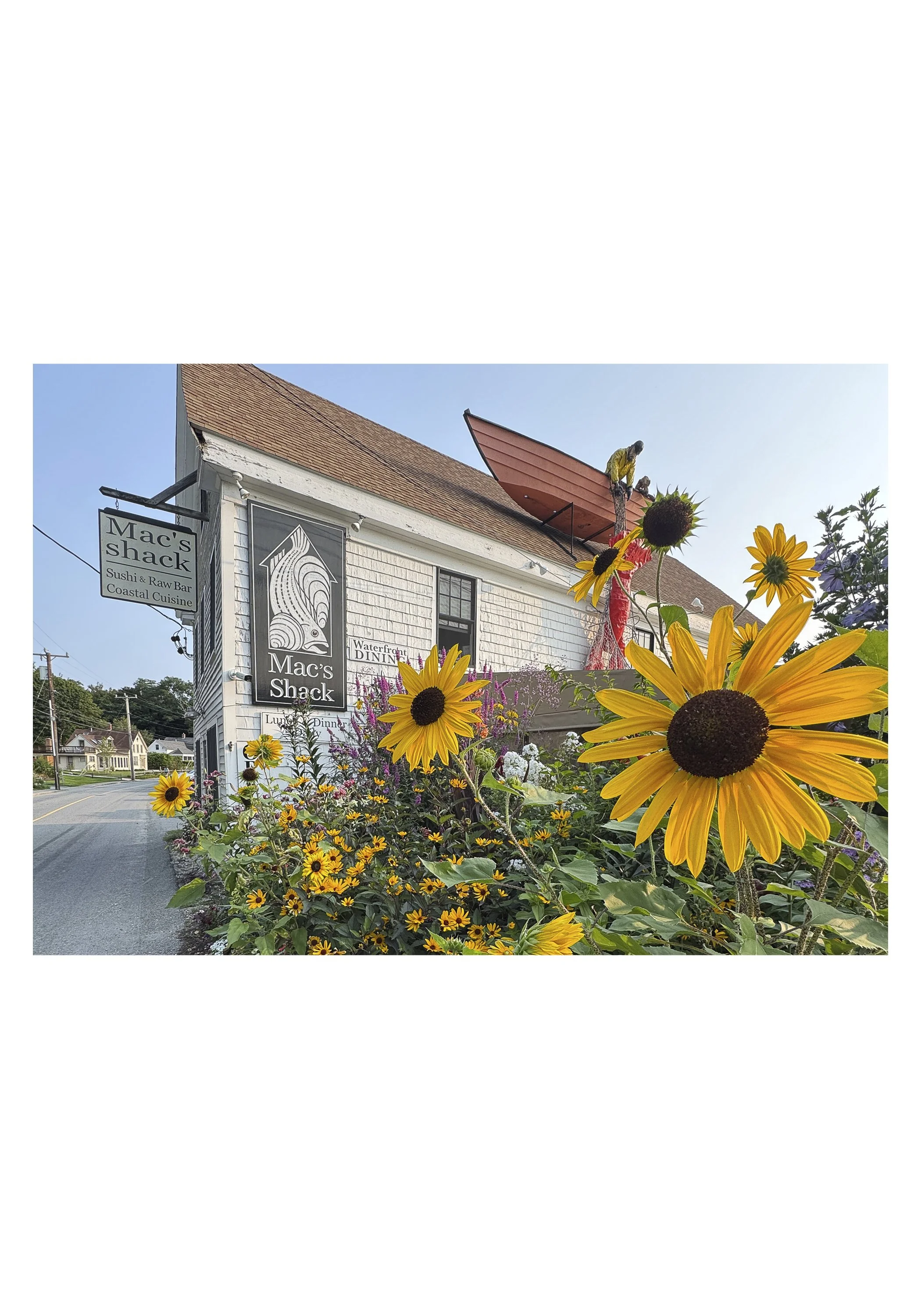 NOTECARD_5X7_horiz_NOmatte no price8.jpg