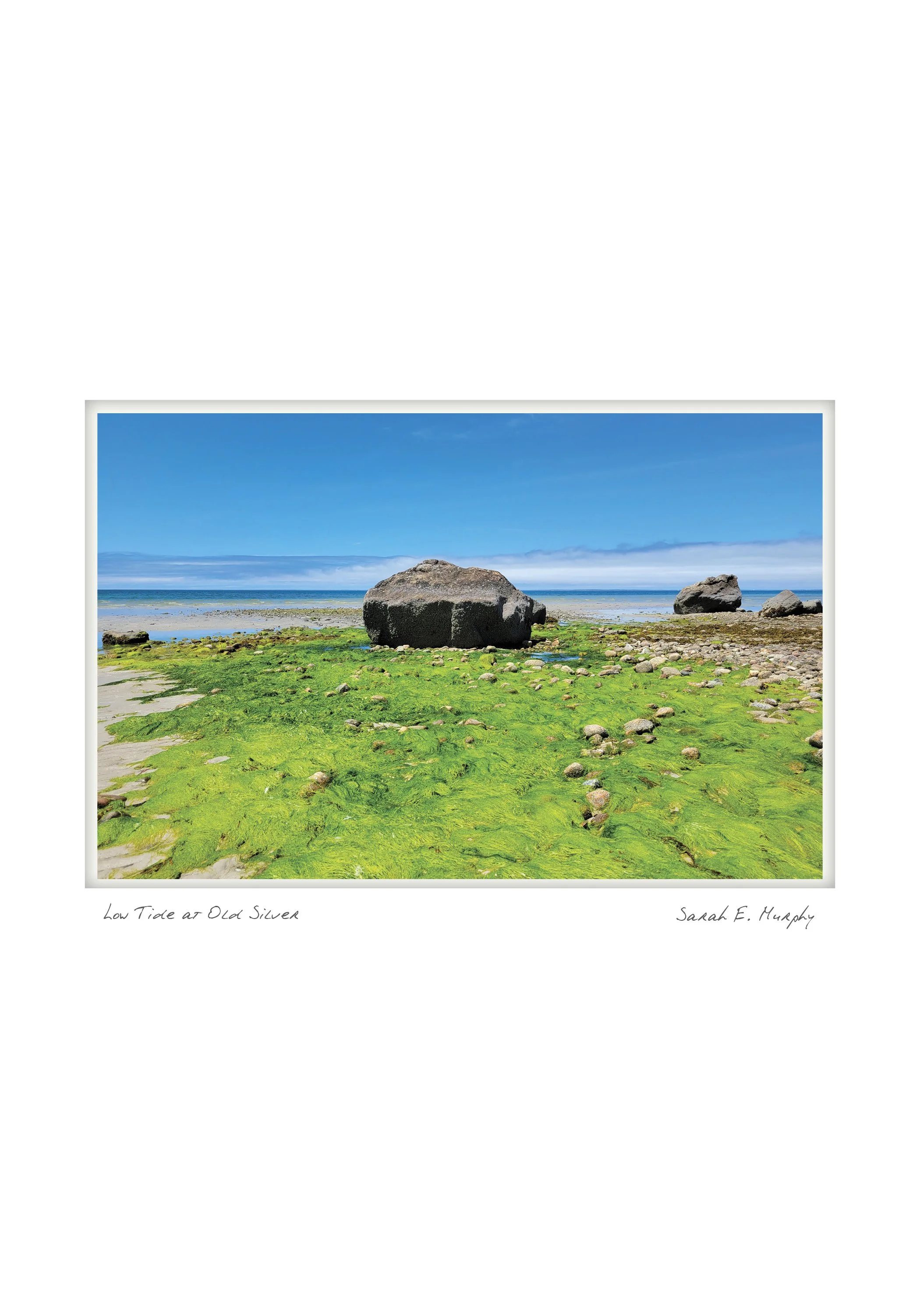 Low Tide at Old Silver by Sarah E. Murphy - Falmouth, Massachusetts