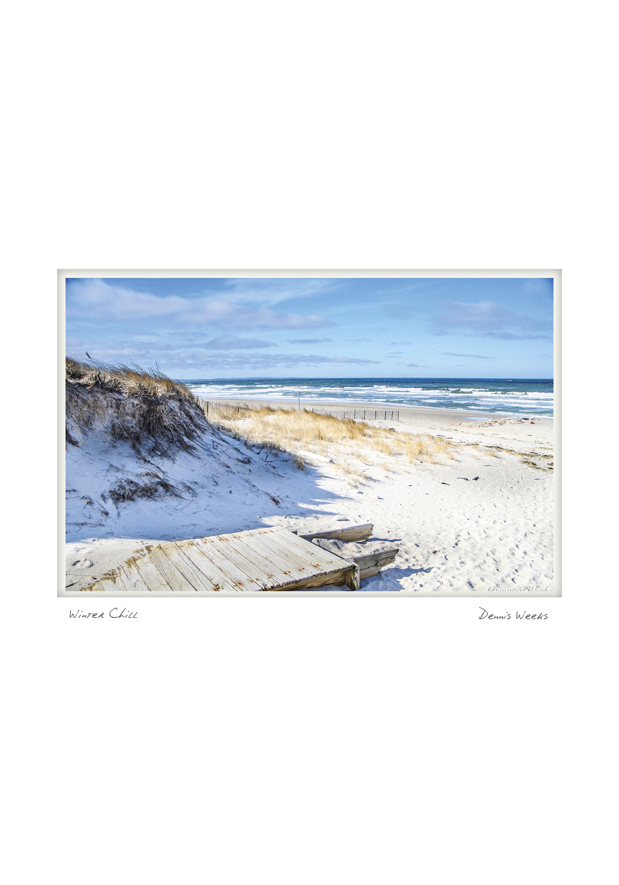 SANDWICH NOTECARD_5X7_horiz3.jpg