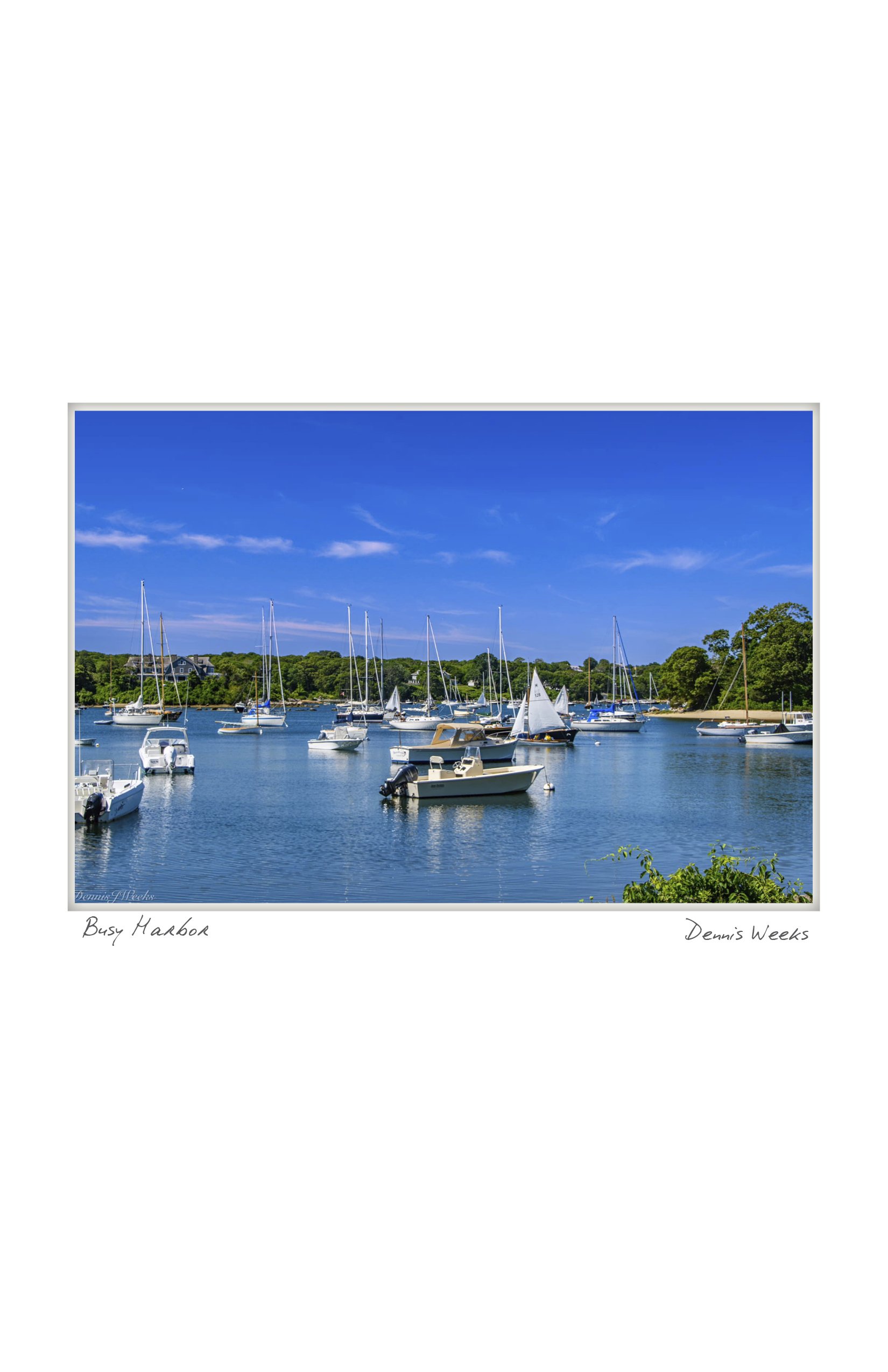 half busy harbor weeks NOTECARD_4.25x5.5.jpg