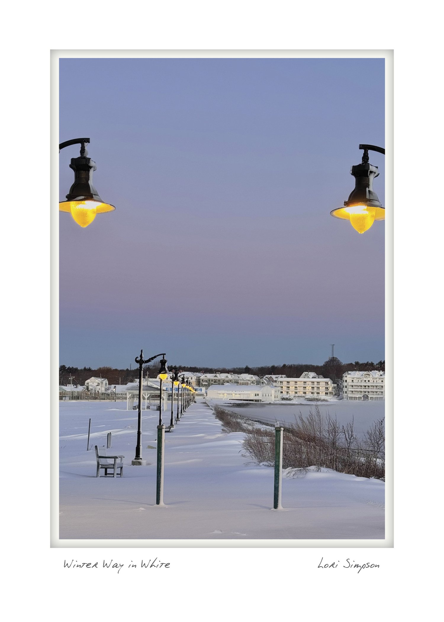 half winter way in white NOTECARD_5X7_vert.jpg