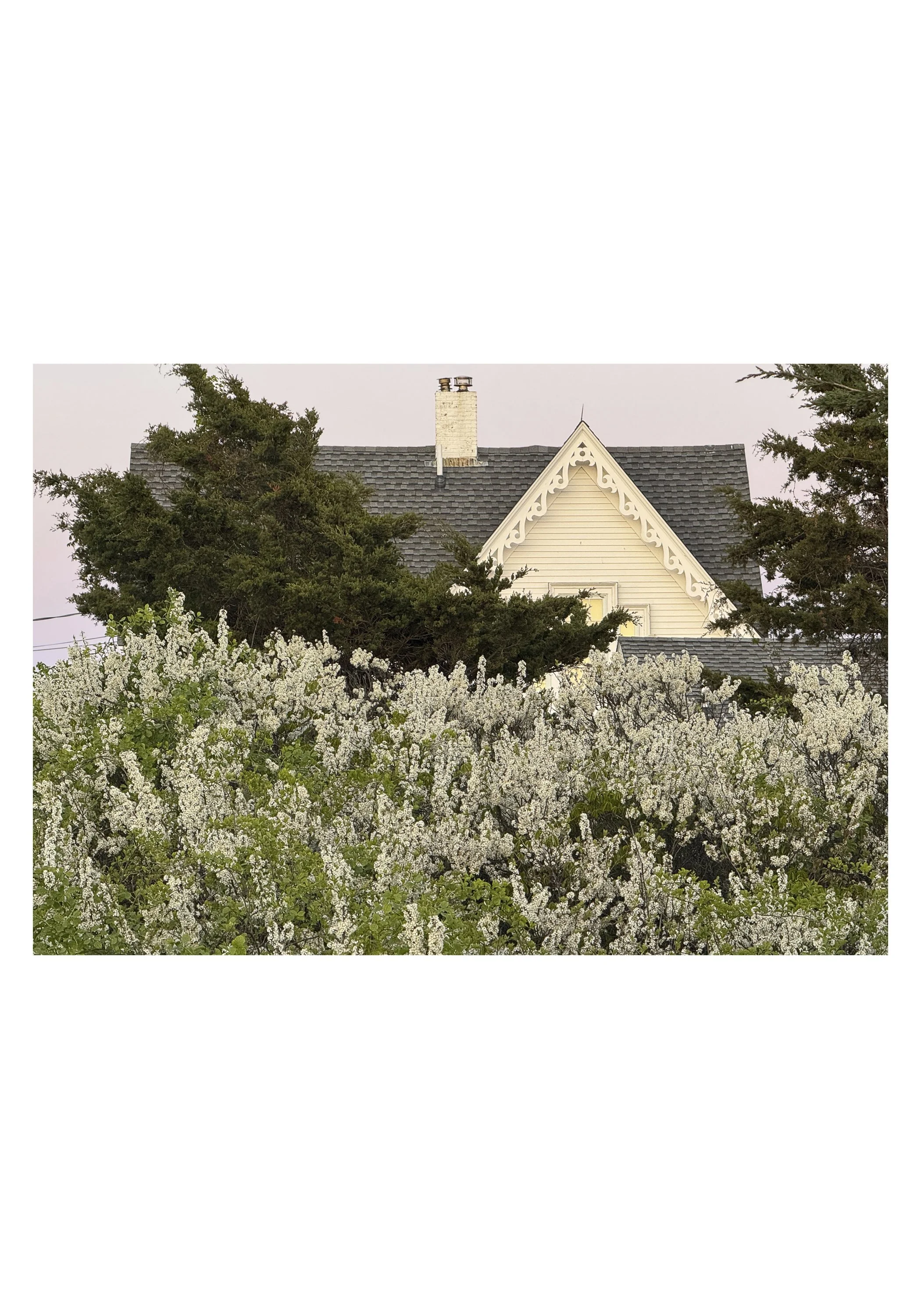 Bounty of Blooms - Anne Brown - Wellfleet, Massachusetts