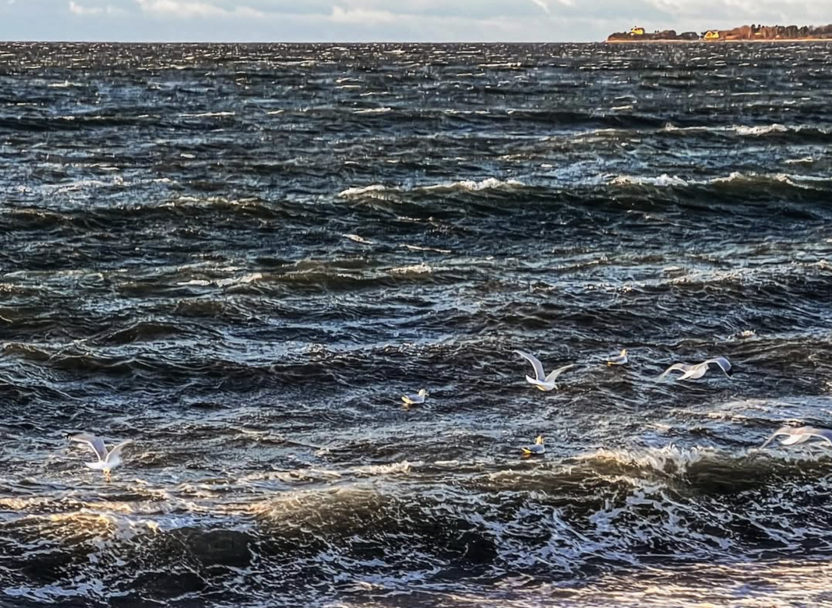 1 surf drive beach casey ig 260906 